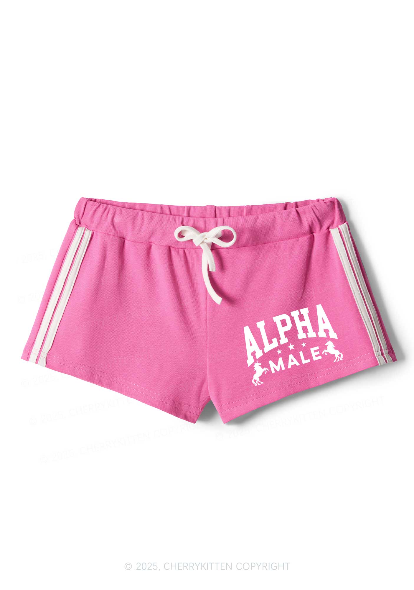 Alpha Male Y2K Drawstring Mini Shorts Cherrykitten