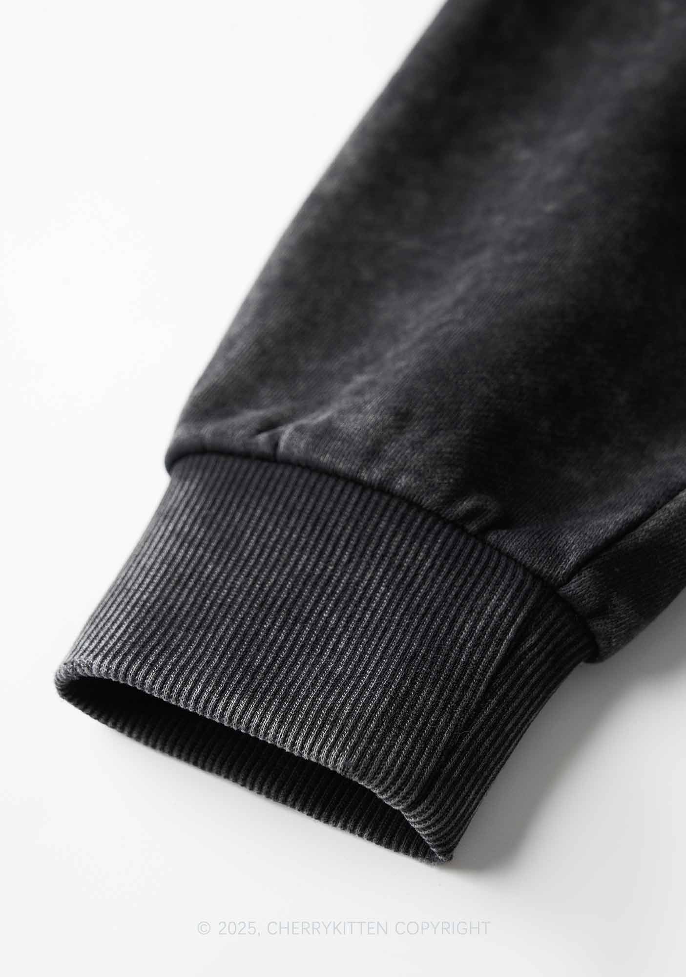 Custom Pet Photo Y2K Crop Washed Sweatshirts Cherrykitten