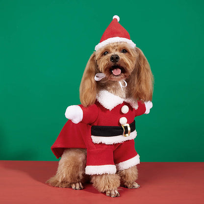 Santa Claus Cape Y2K Christmas Pet Dog Costume