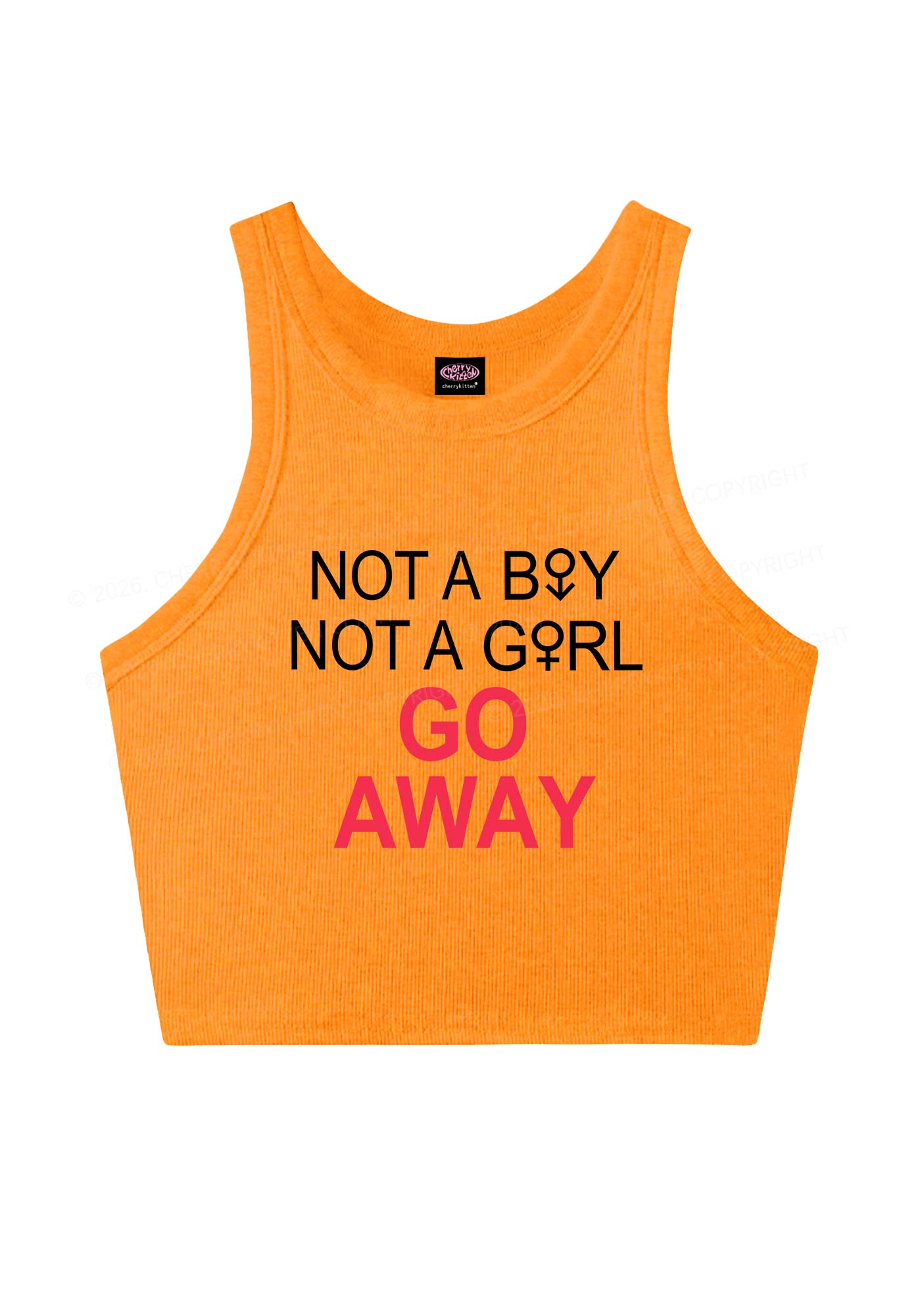 Go Away Pride Y2K Crop Tank Top Cherrykitten