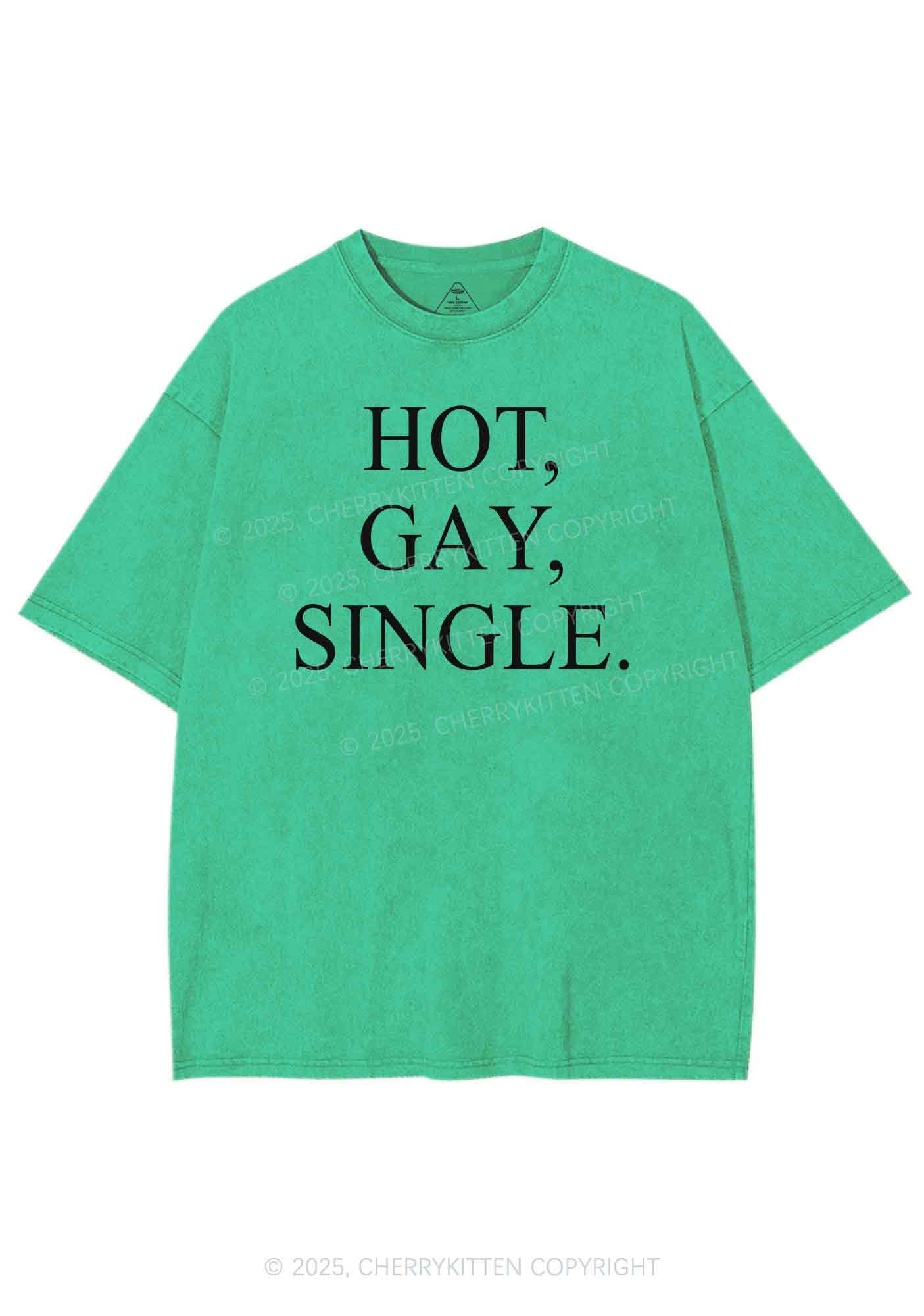 Hot Gay Single Pride Y2K Shirts Washed Tee Cherrykitten