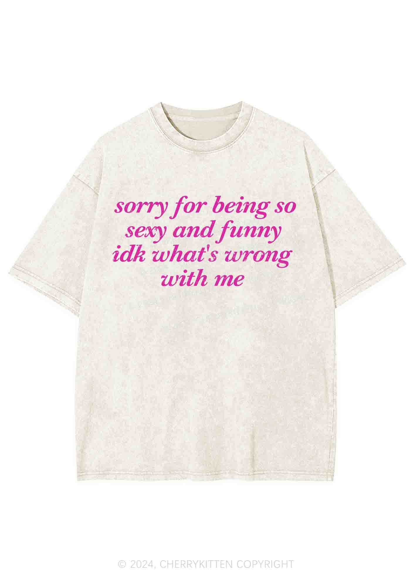 Sorry For Being So Funny Y2K Washed Tee Cherrykitten
