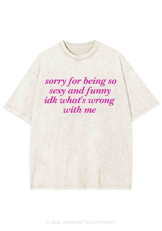 Sorry For Being So Funny Y2K Washed Tee Cherrykitten