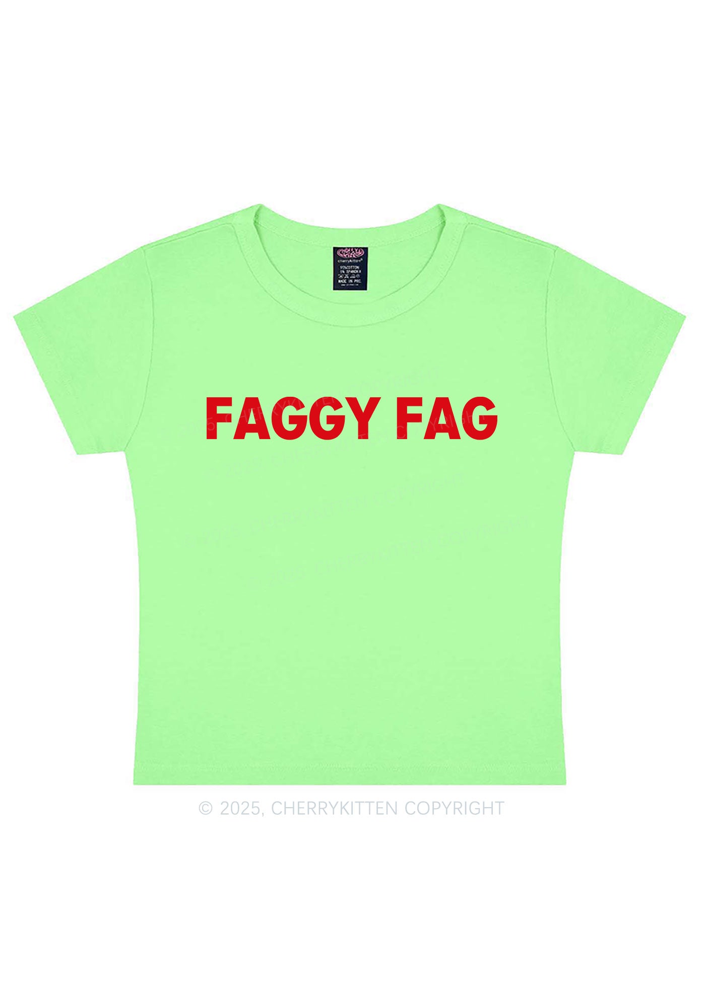 Faggy Fag Pride Y2K Baby Tee Cherrykitten