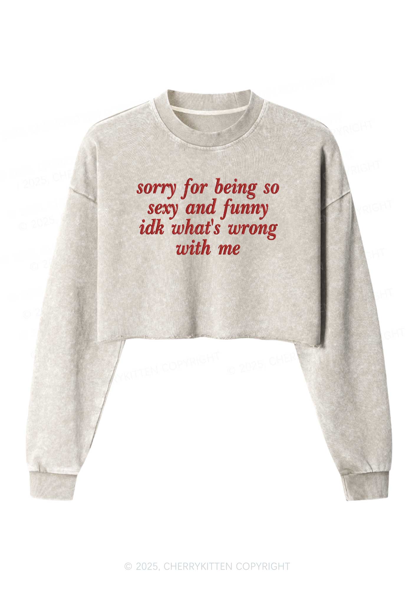 Embroidered Sorry For Being So Funny Y2K Crop Washed Sweatshirts Cherrykitten