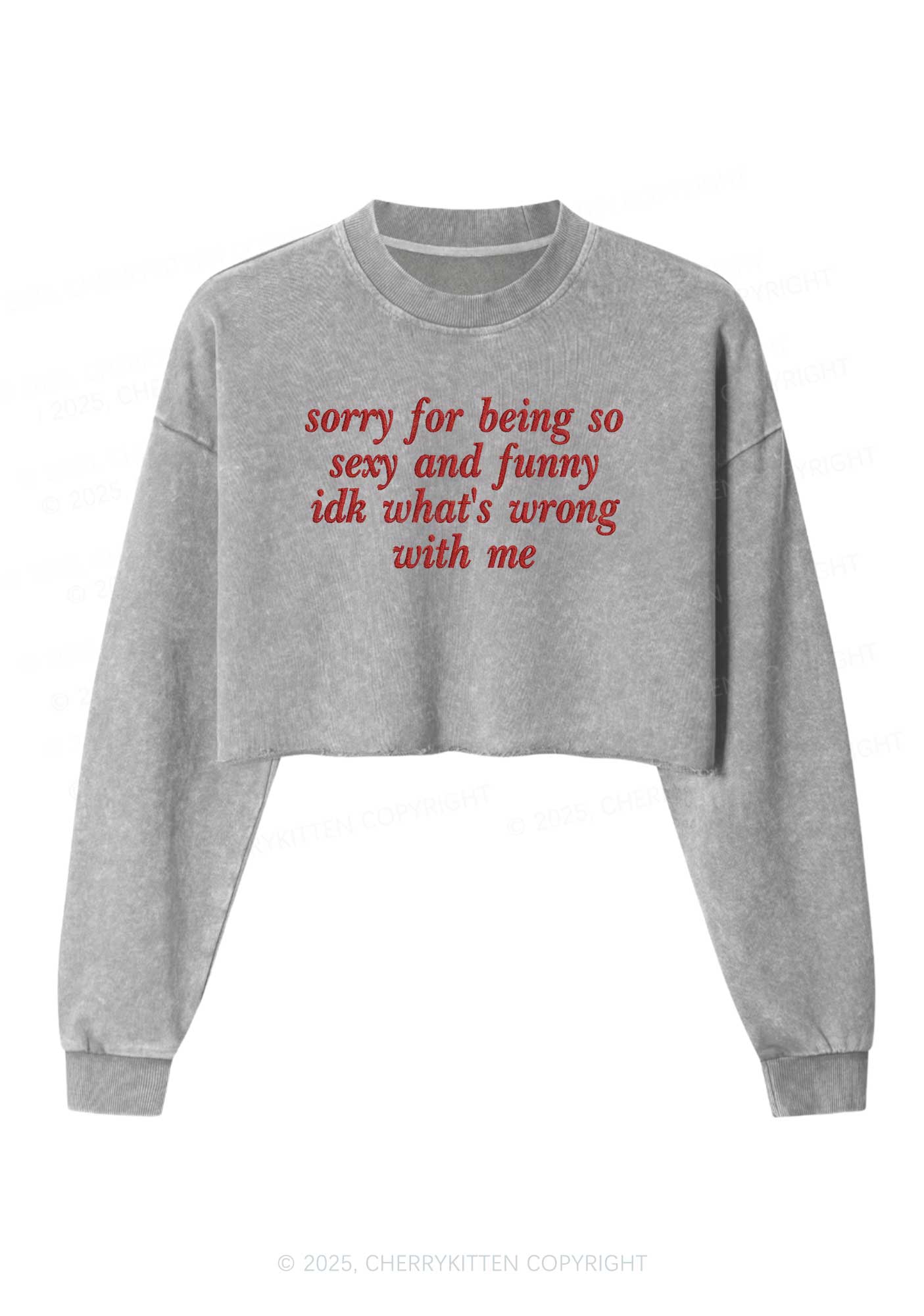 Embroidered Sorry For Being So Funny Y2K Crop Washed Sweatshirts Cherrykitten