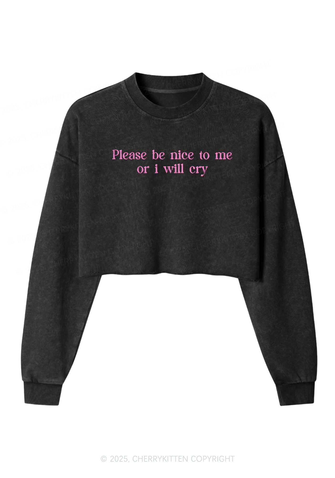 Embroidered Please Be Nice To Me Y2K Crop Washed Sweatshirts Cherrykitten