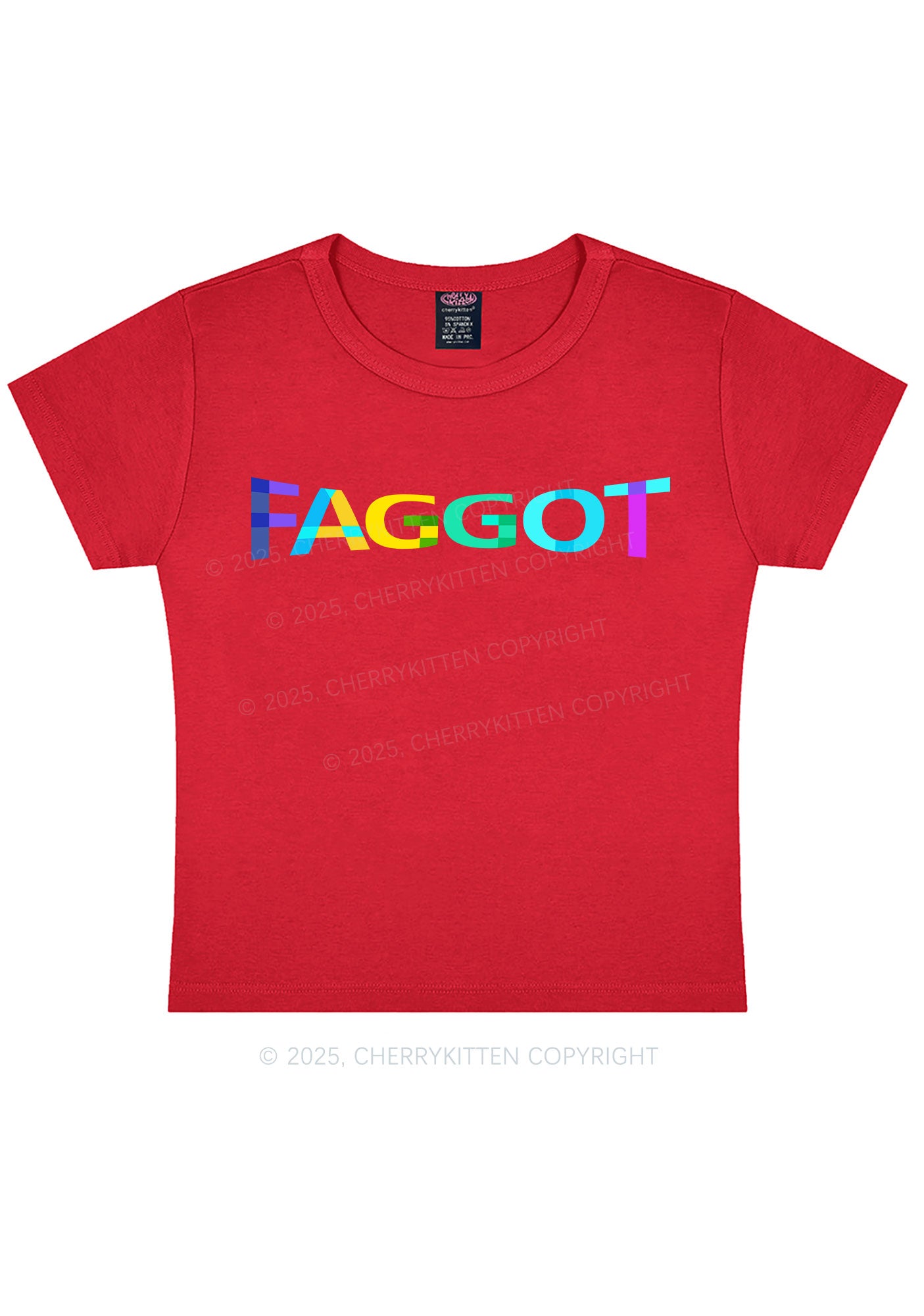 Colorful Faggot Pride Y2K Baby Tee Cherrykitten