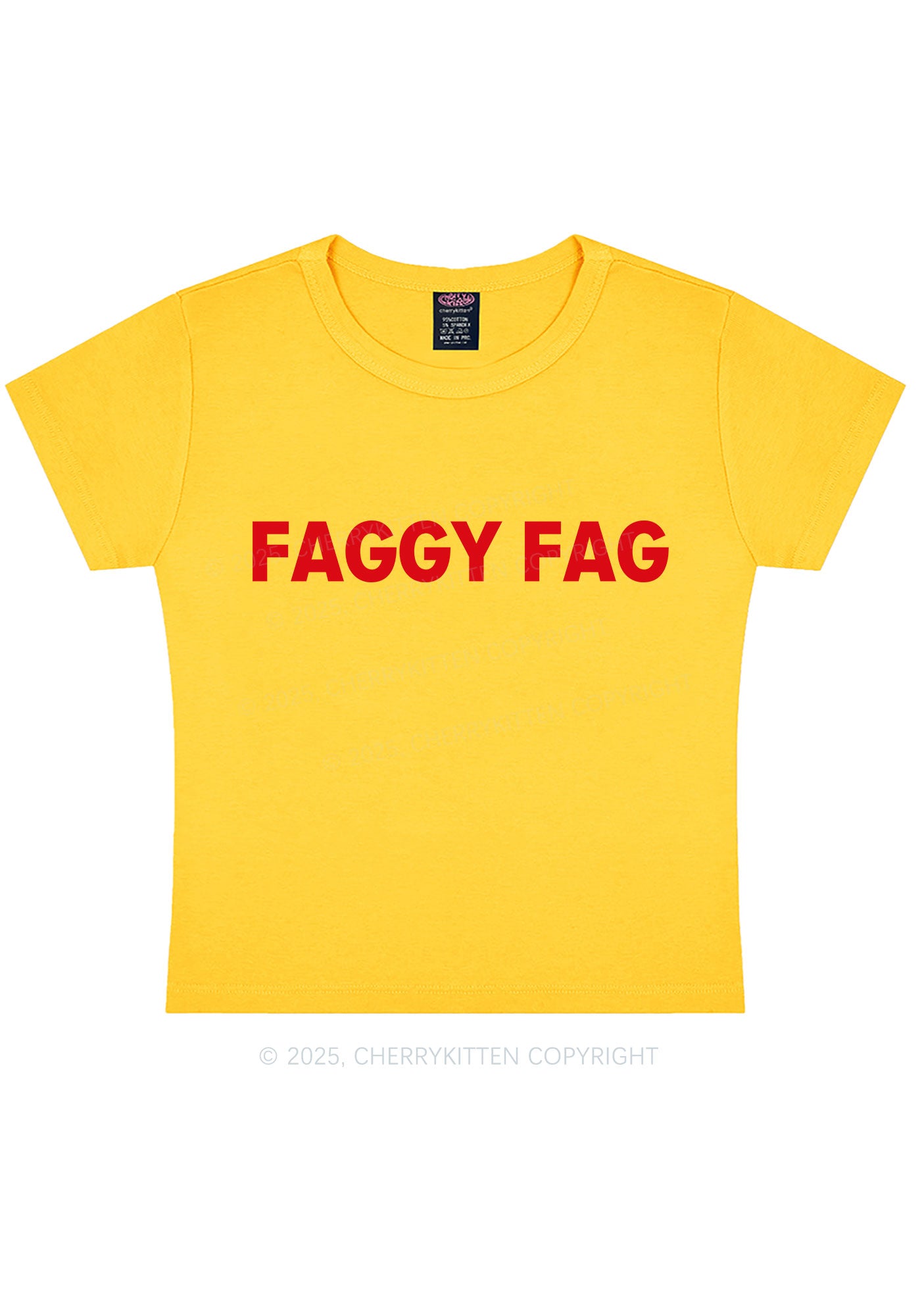 Faggy Fag Pride Y2K Baby Tee Cherrykitten