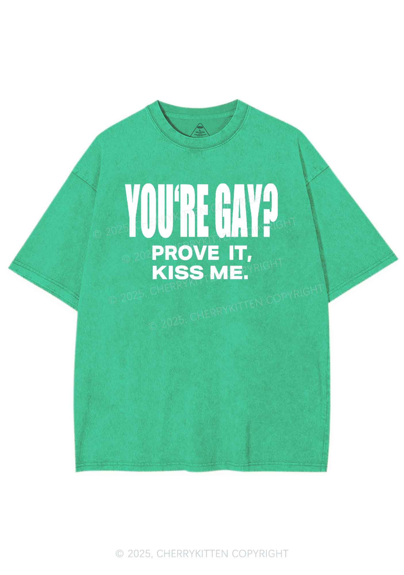 Prove It kiss Me Pride Y2K Shirts Washed Tee Cherrykitten