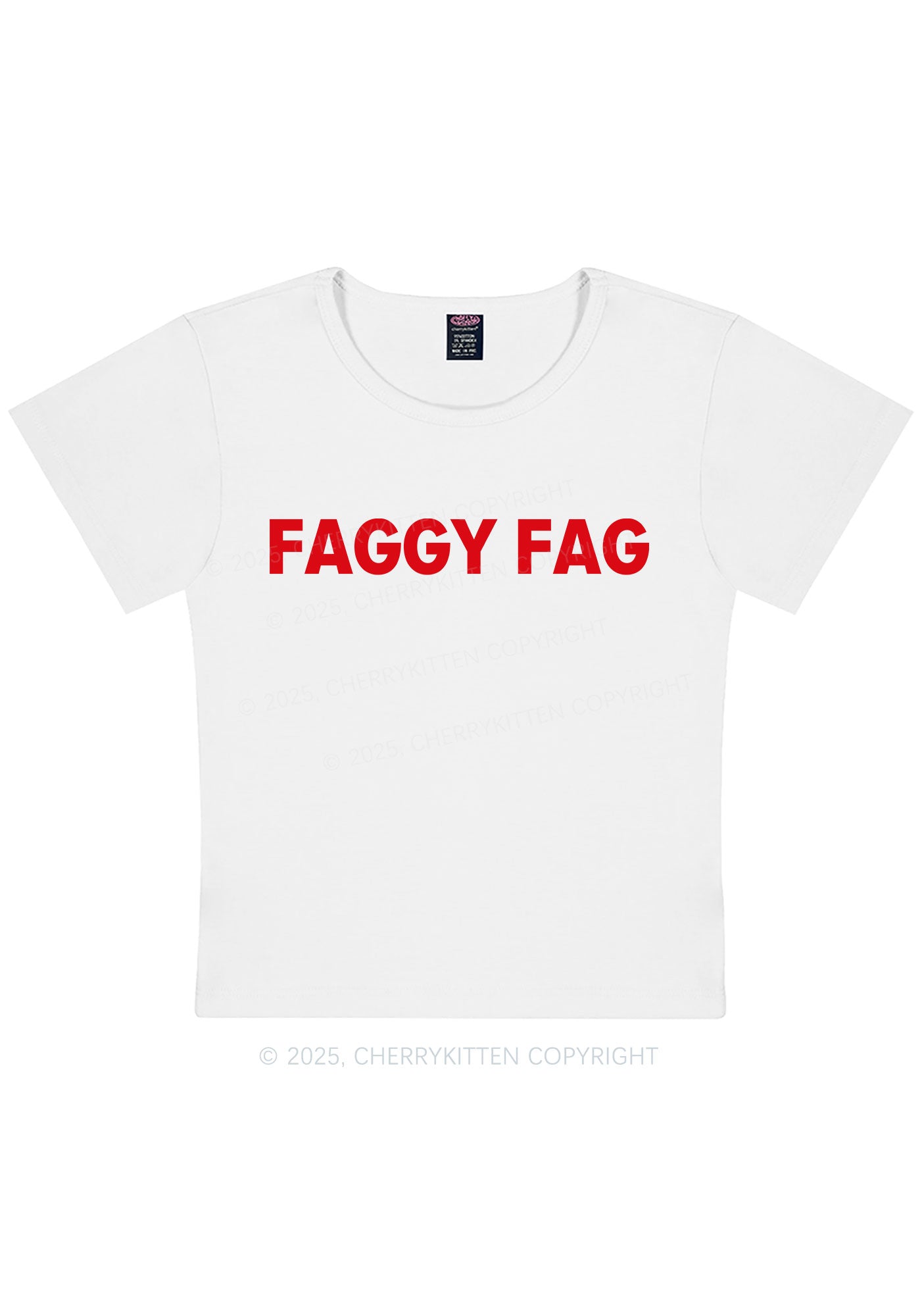 Faggy Fag Pride Y2K Baby Tee Cherrykitten