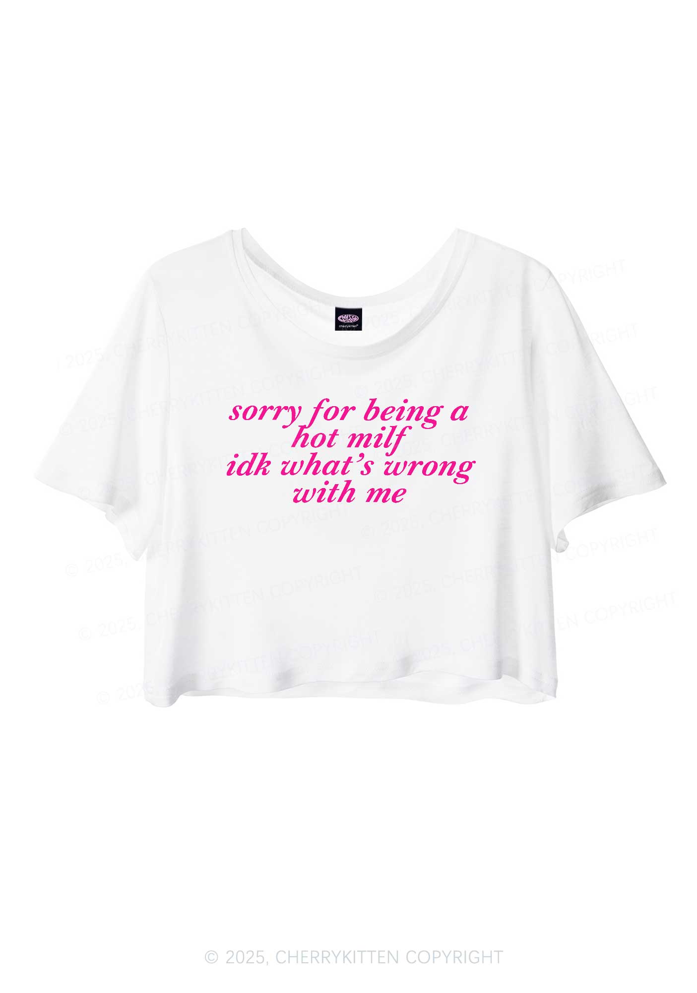 Sorry For Being A Hot Mxxf Y2K Sheer Crop Tee Cherrykitten