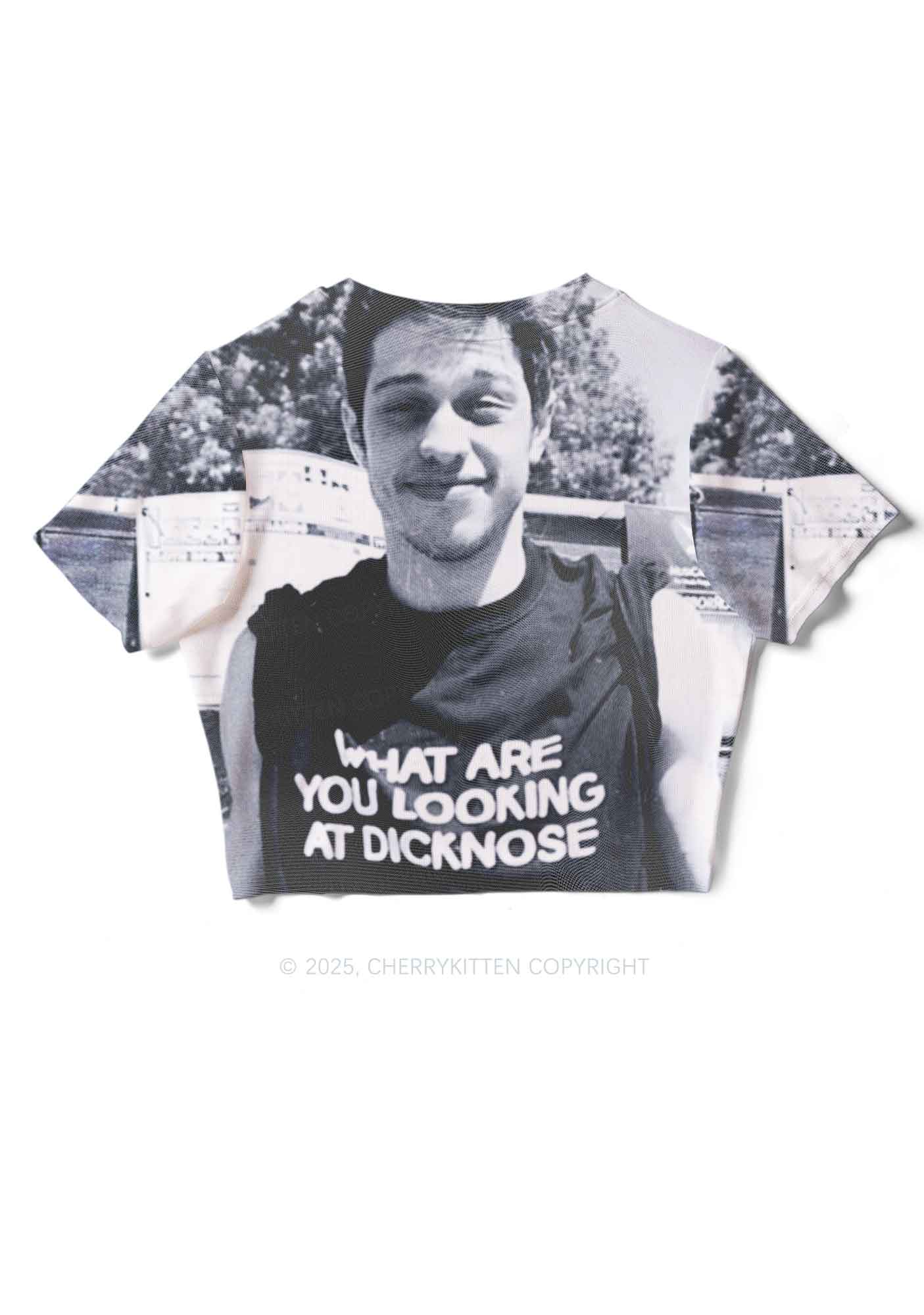 What Are You Looking At Y2K Mesh Crop Top Cherrykitten