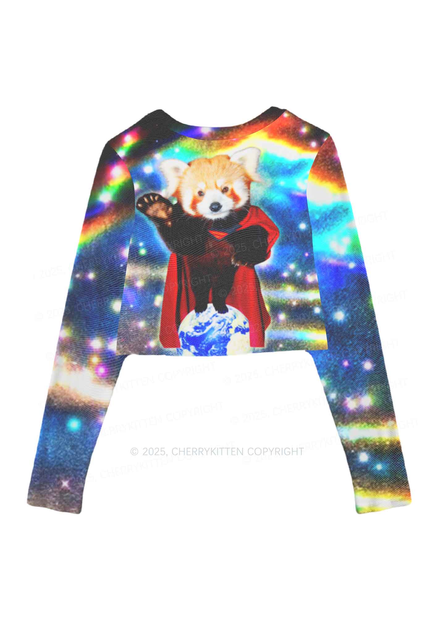 Super Raccoon Y2K Mesh Long Sleeve Crop Top Cherrykitten