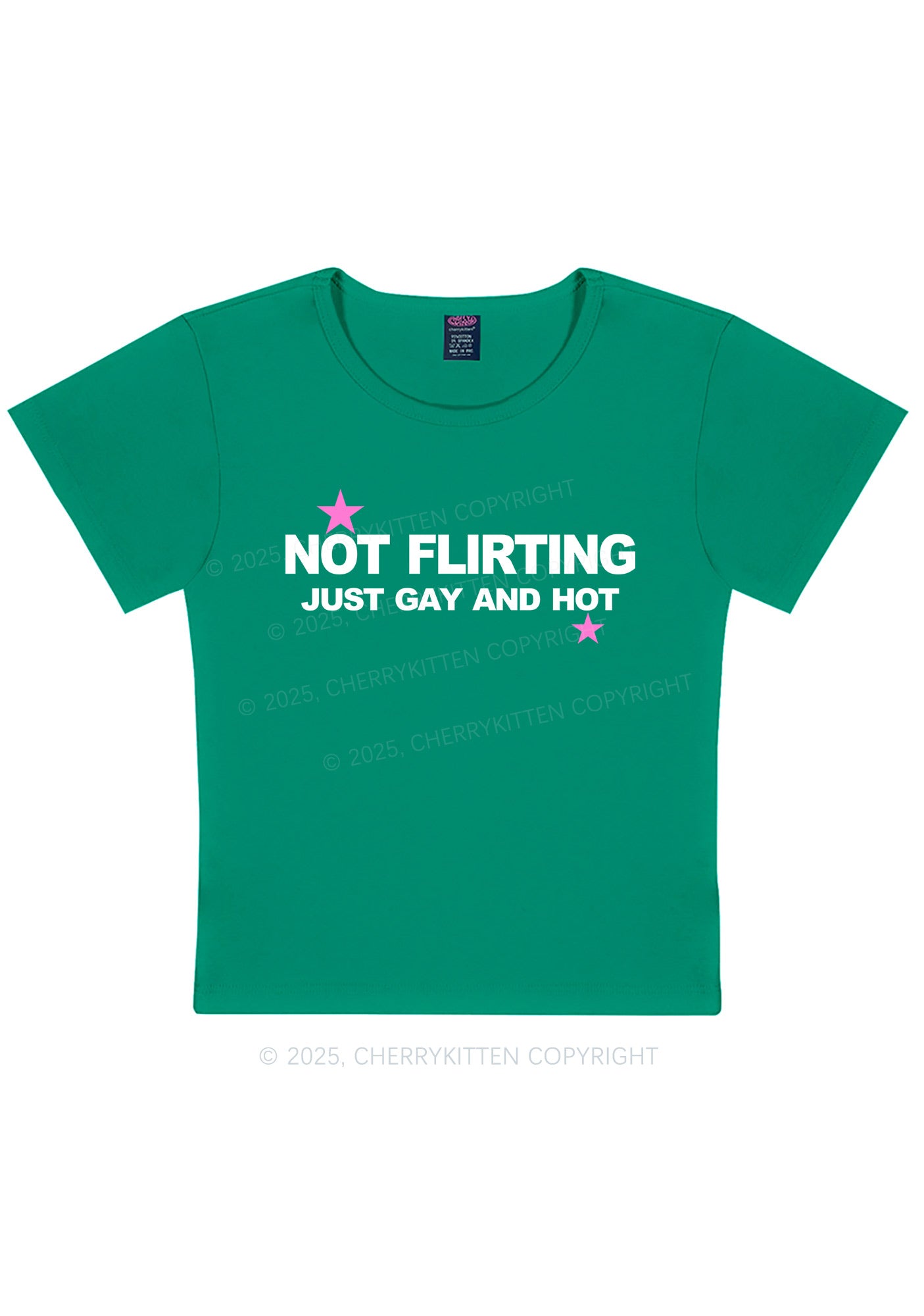Not Flirting Pride Y2K Baby Tee Cherrykitten