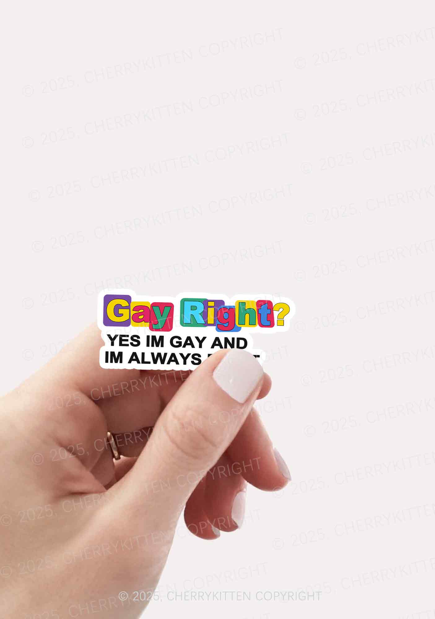 Gay Always Right Pride 1Pc Y2K Sticker Cherrykitten