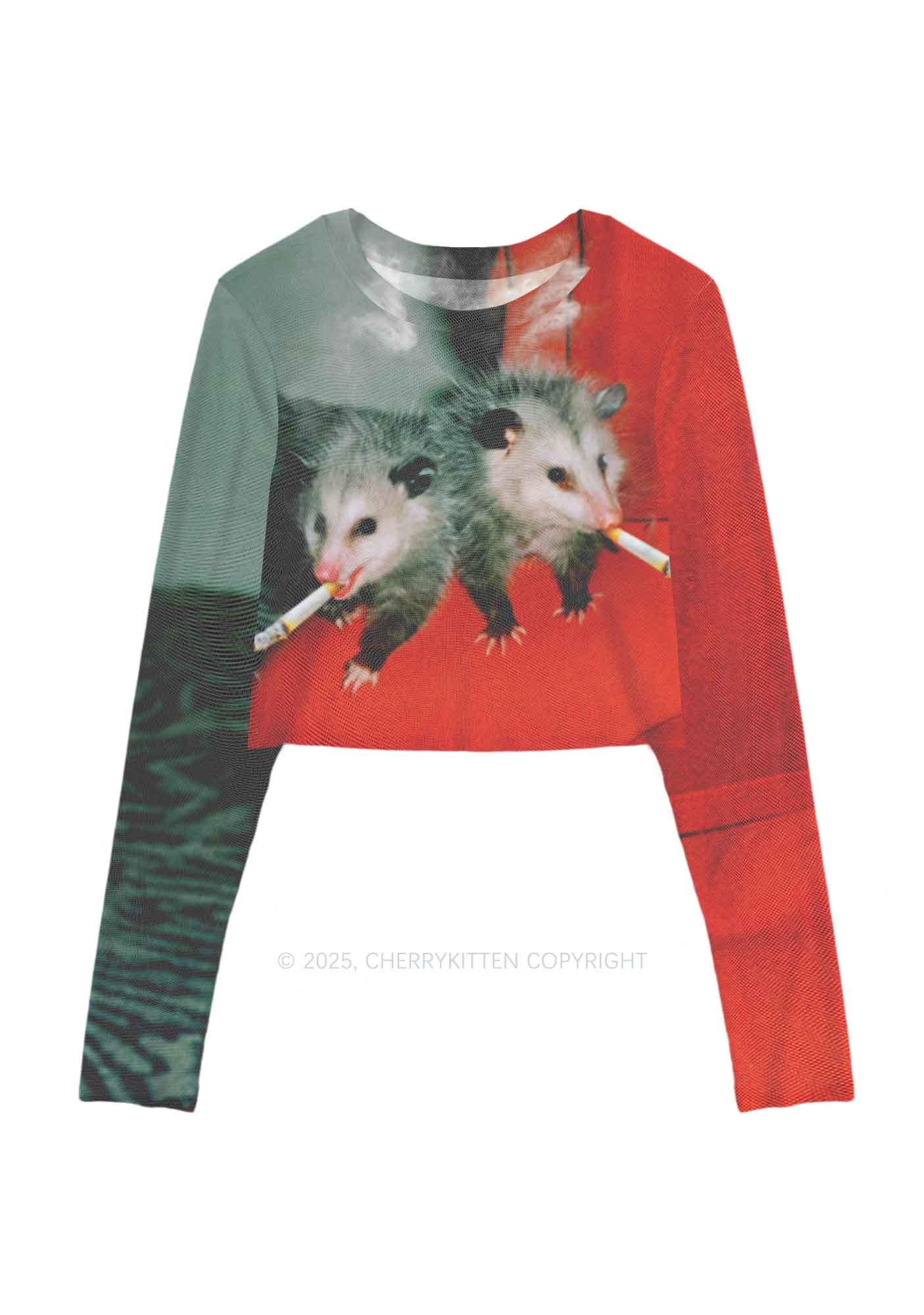 Smoking Badass Rats Y2K Mesh Long Sleeve Crop Top Cherrykitten