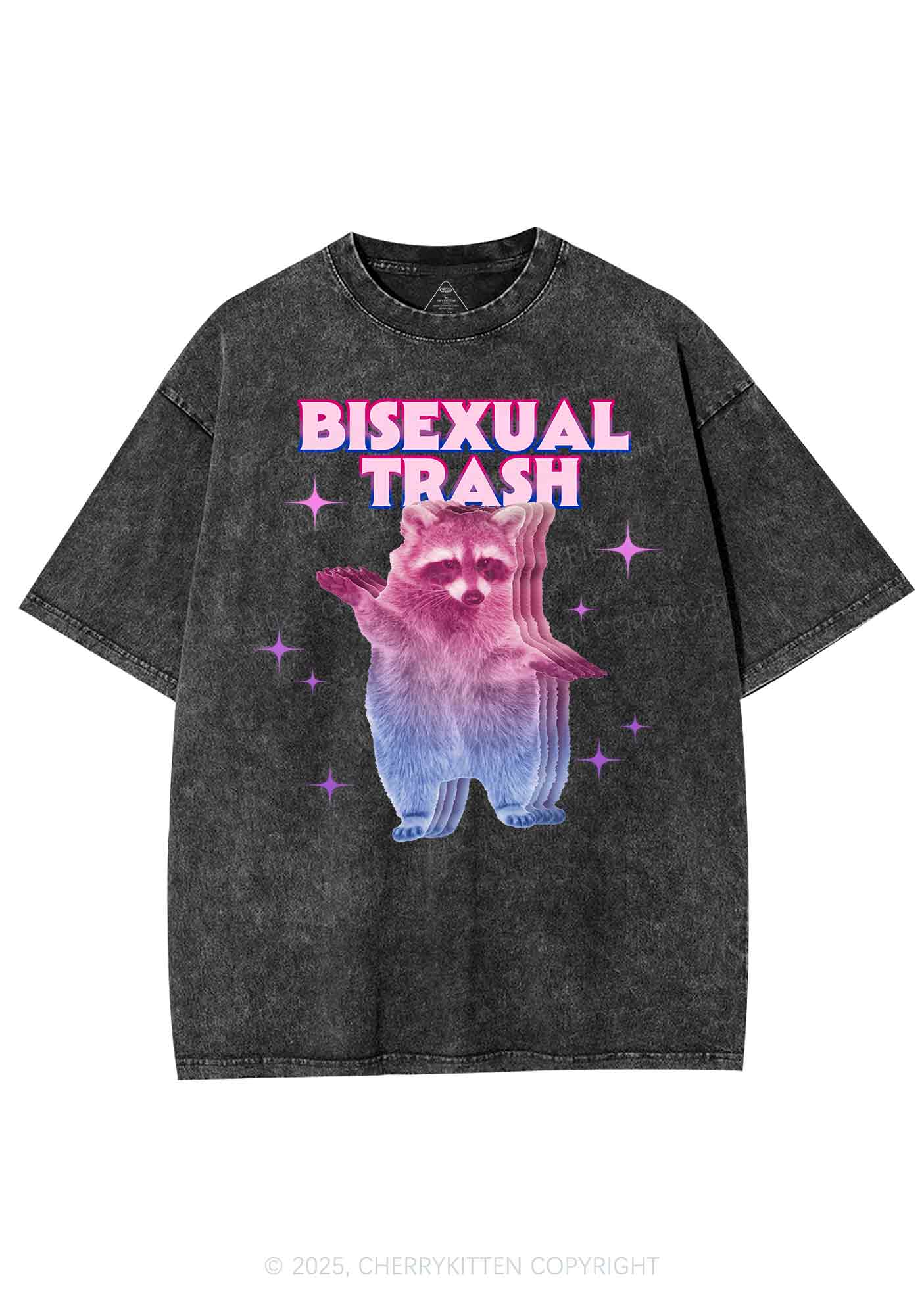 Bisexual Trash Raccoon Pride Y2K Shirts Washed Tee Cherrykitten