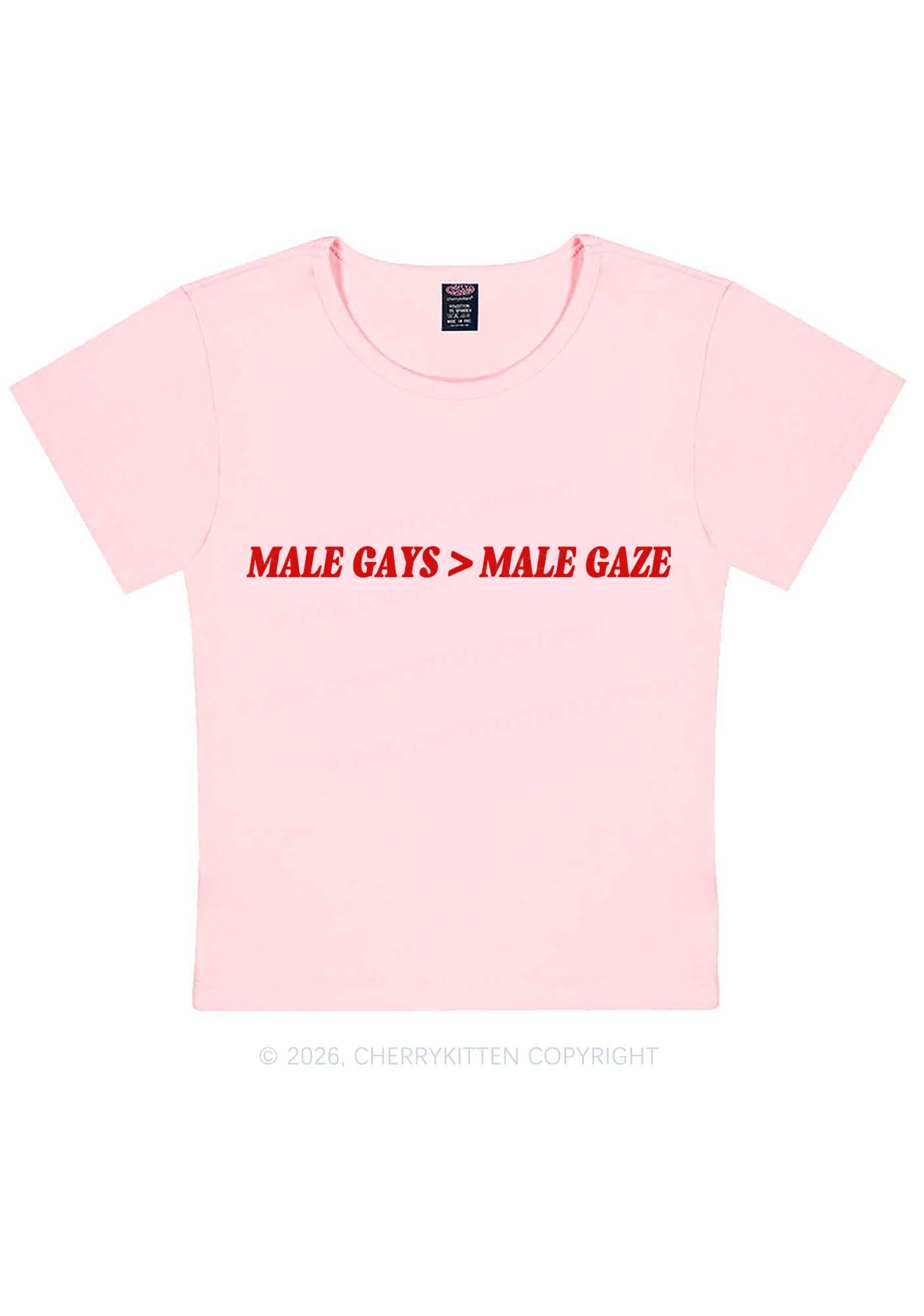 Male Gays Male Gaze Pride Y2K Baby Tee Cherrykitten