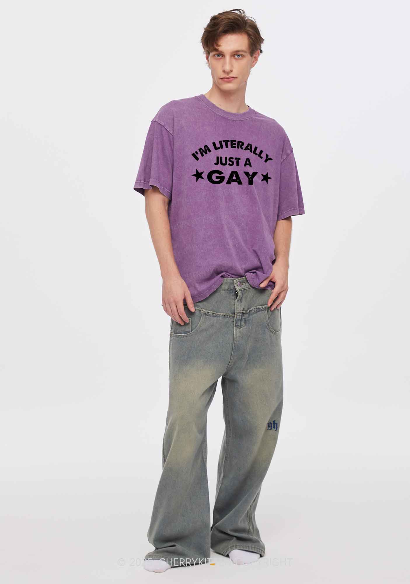 Literally Just A Gay Pride Y2K Shirts Washed Tee Cherrykitten