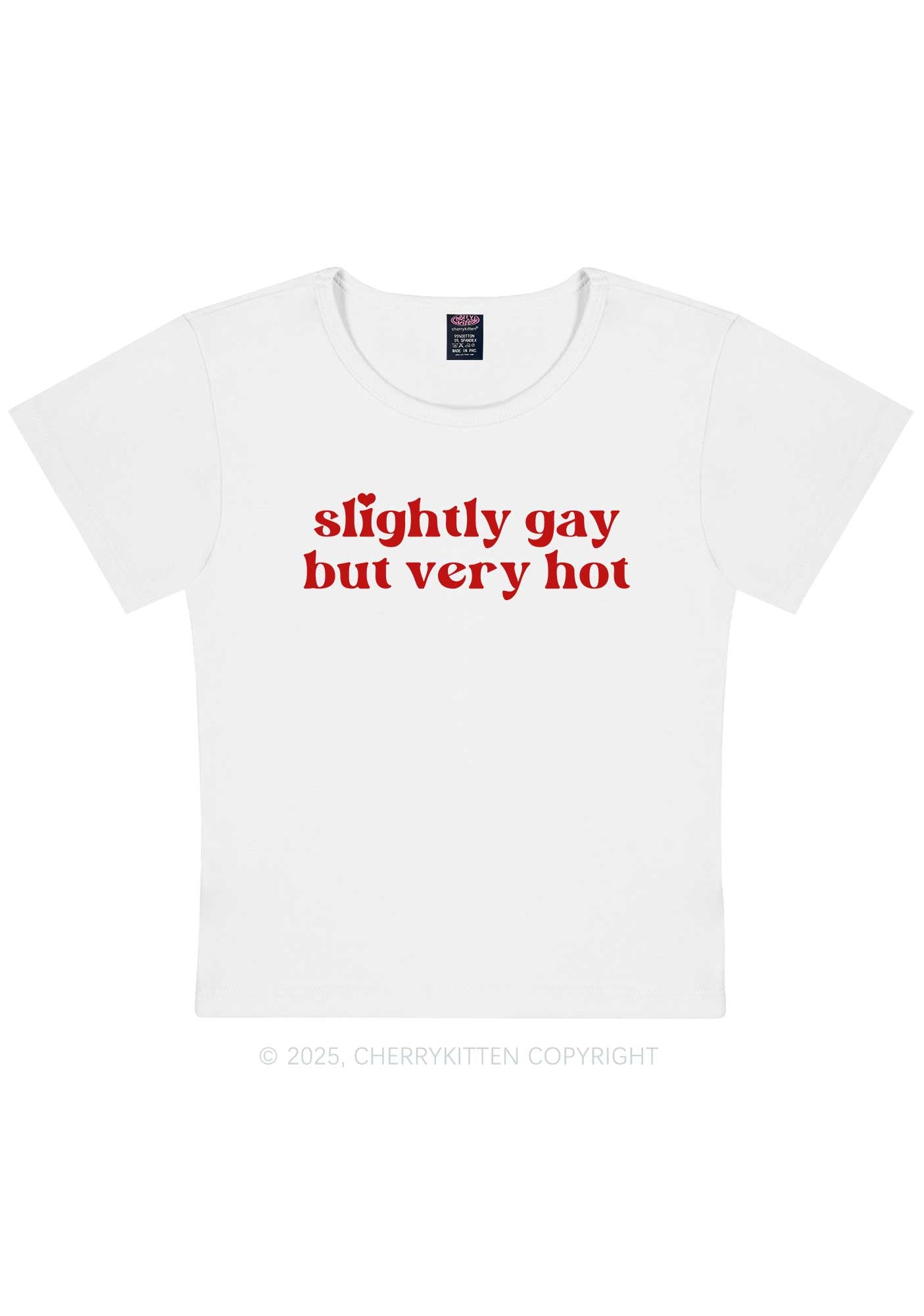 Slightly Gay But Very Hot Pride Y2K Baby Tee Cherrykitten