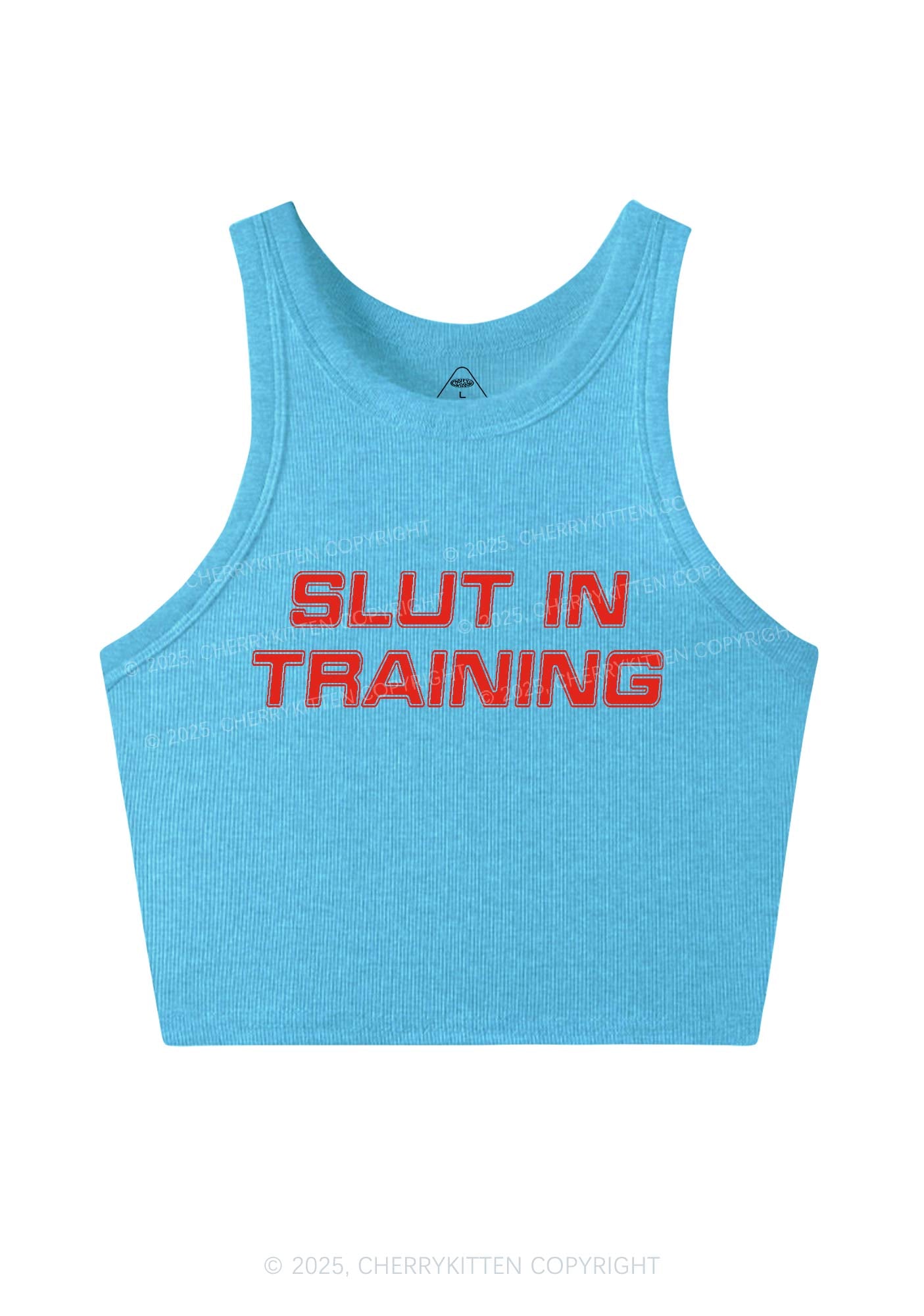 Slxt In Training Y2K Crop Tank Top Cherrykitten