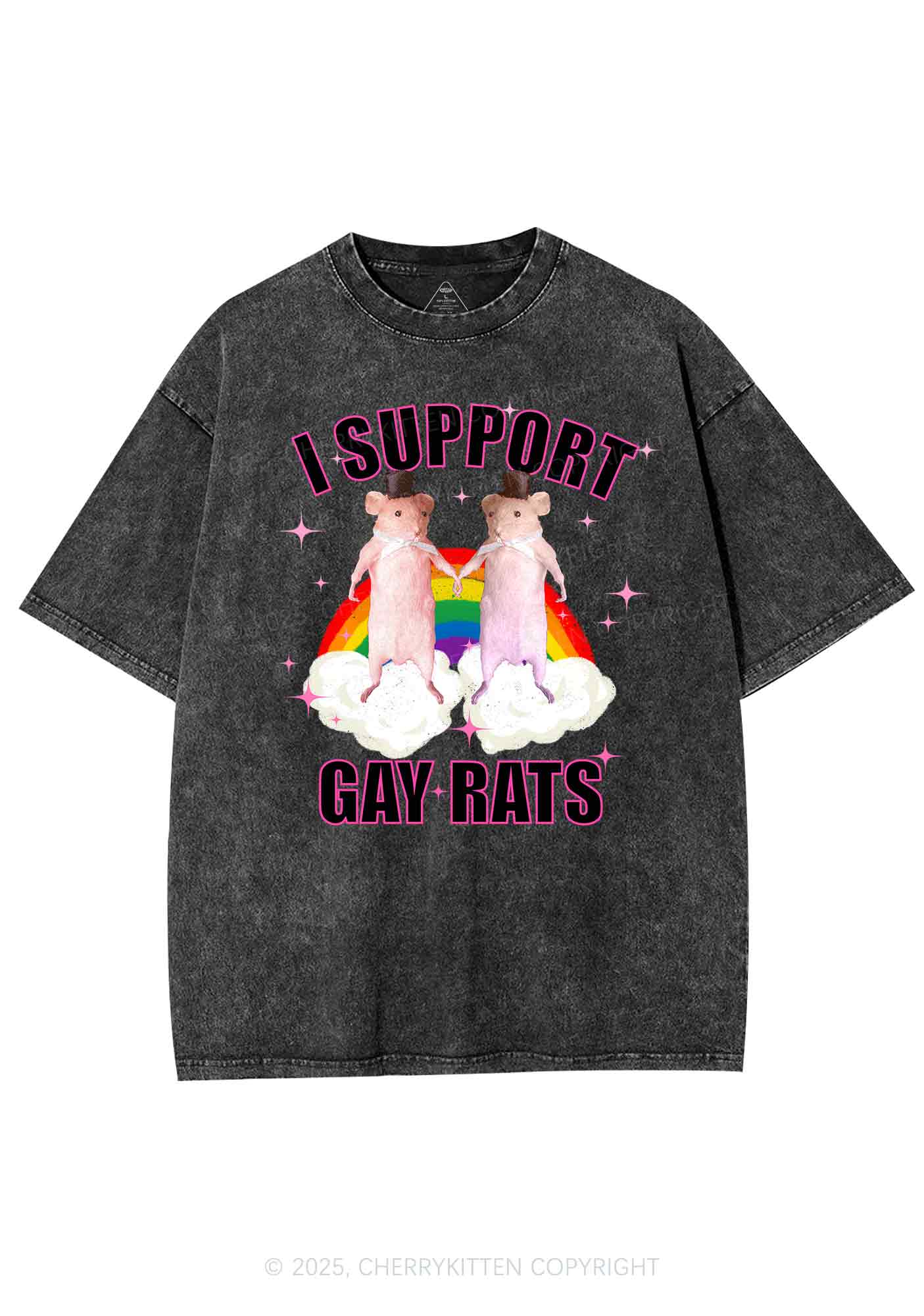 Support Gay Rats Pride Y2K Shirts Washed Tee Cherrykitten
