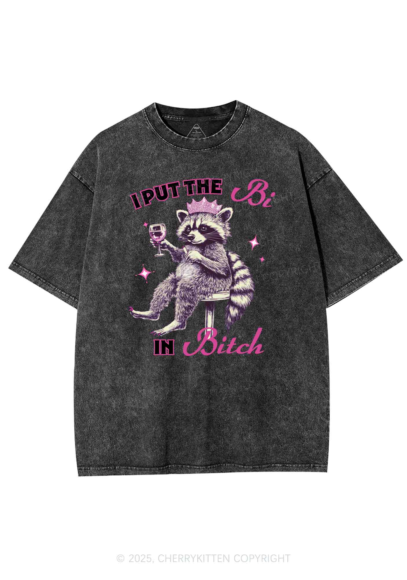 Bi Bxxch Raccoon Pride Y2K Shirts Washed Tee Cherrykitten