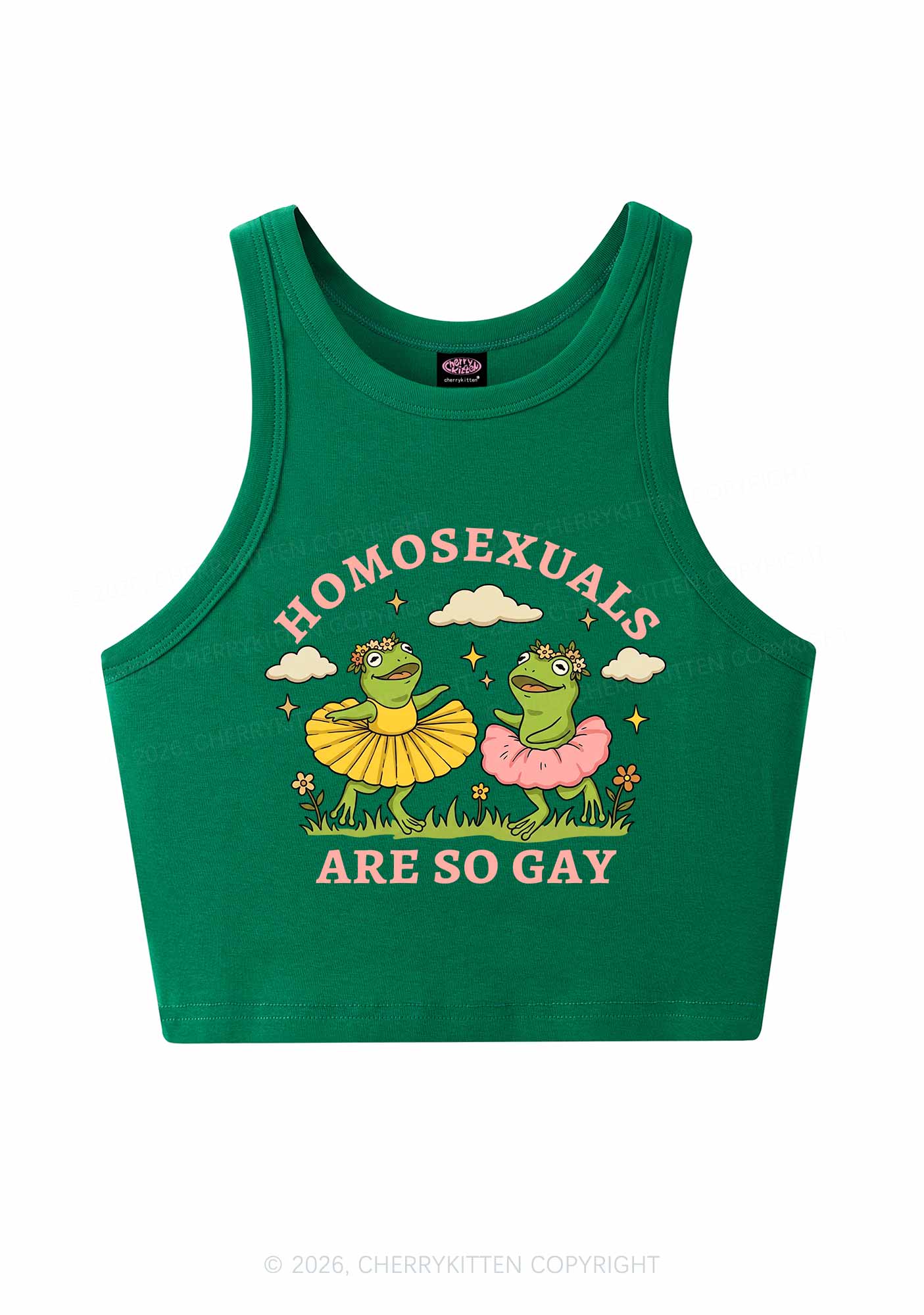 Homosexuals Are So Gay Pride Y2K Crop Tank Top Cherrykitten