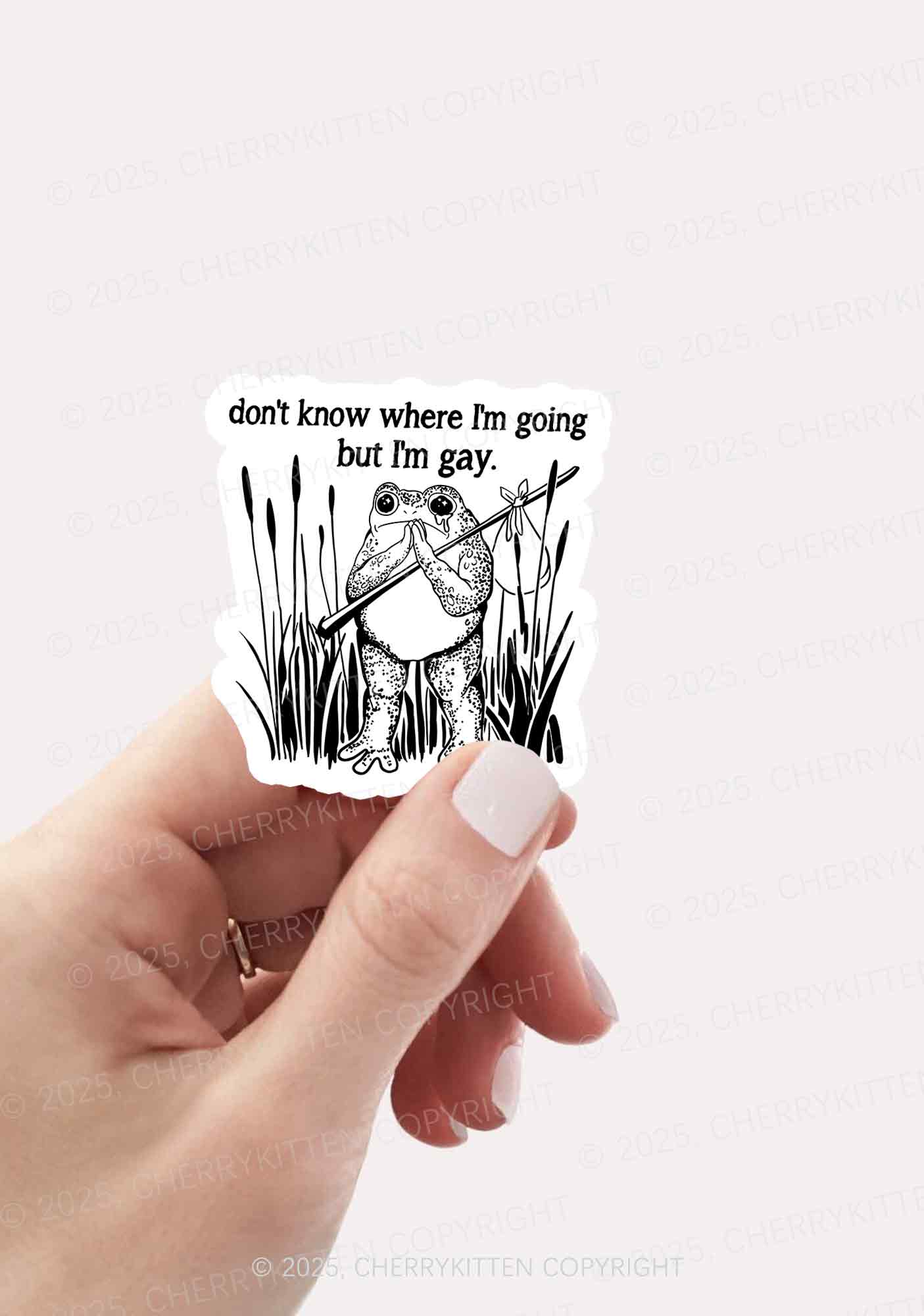 But I Am Gay Frog Pride 1Pc Y2K Sticker Cherrykitten