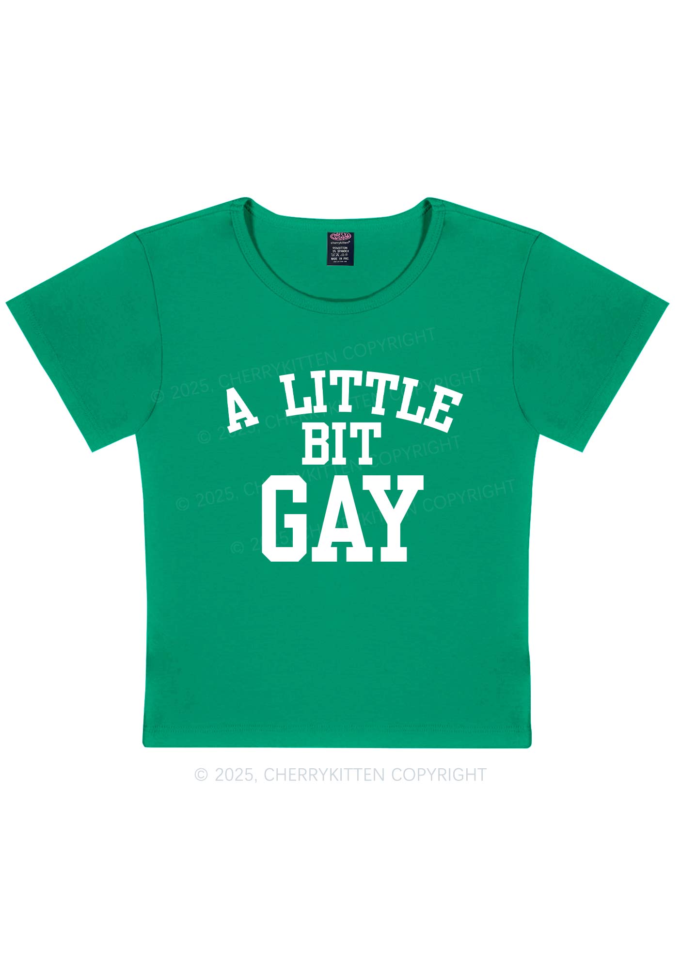 A Little Bit Gay Y2K Baby Tee Cherrykitten