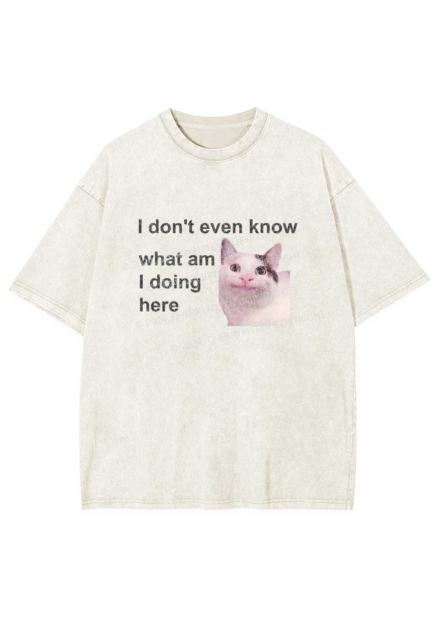 What Am I Doing Here Y2K Washed Tee Cherrykitten
