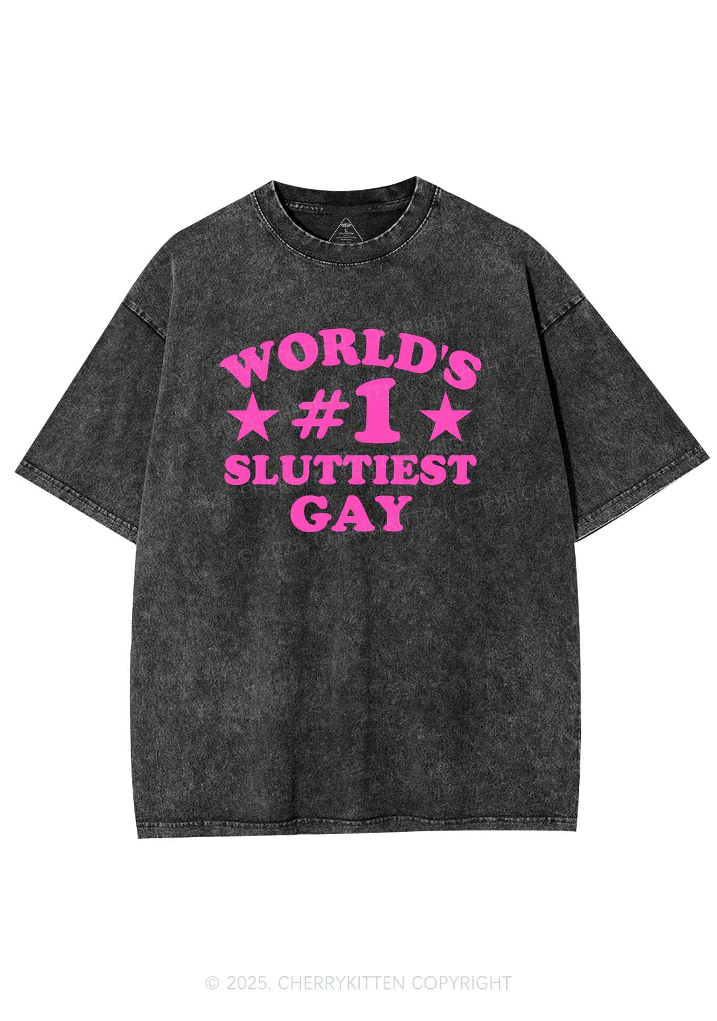 Worlds First Slxttiest Gay Pride Y2K Shirts Washed Tee Cherrykitten