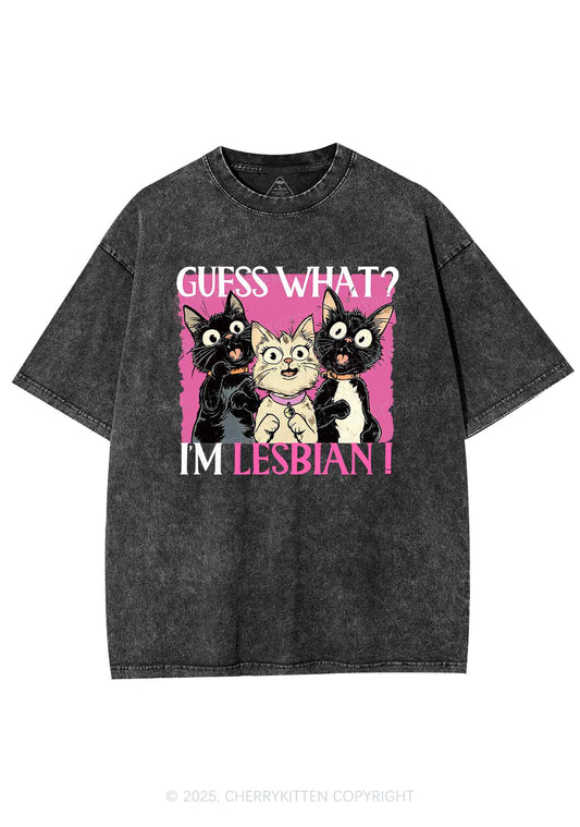 Im Lesbian Cat Pride Y2K Shirts Washed Tee Cherrykitten