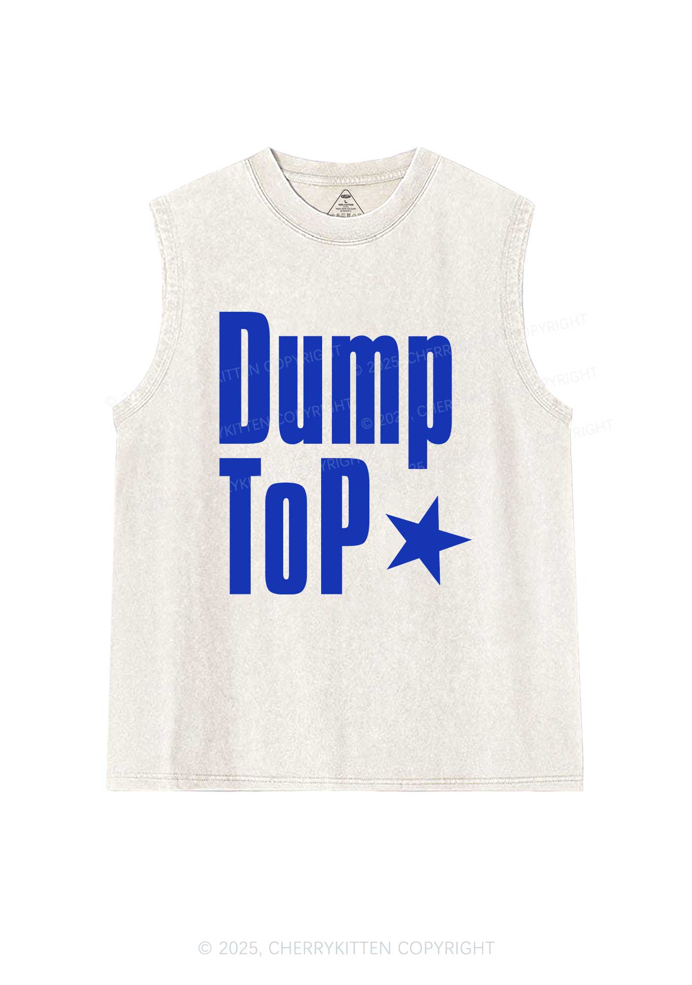 Dump Top Pride Y2K Washed Muscle Tank Cherrykitten