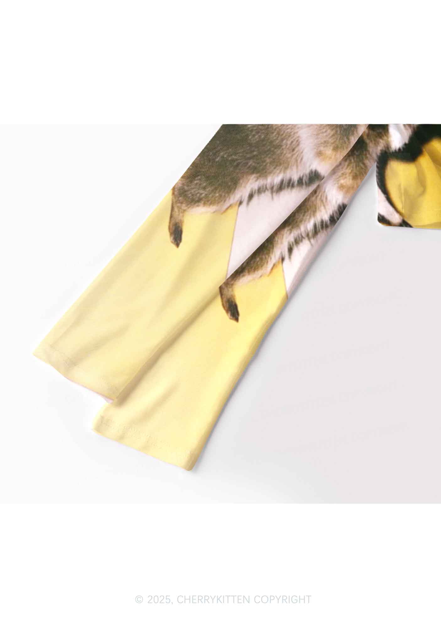 Yoga Raccoon Y2K Mesh Long Sleeve Crop Top Cherrykitten