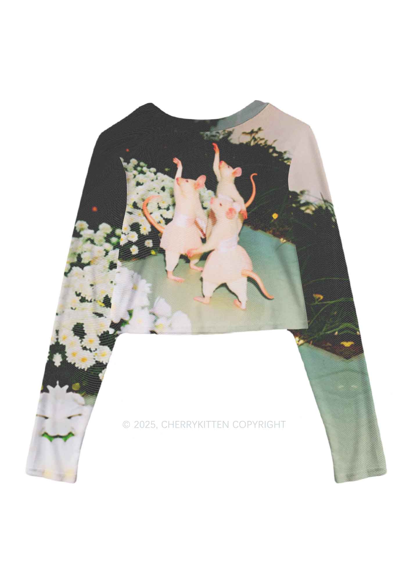 Ballet Rats Y2K Mesh Long Sleeve Crop Top Cherrykitten