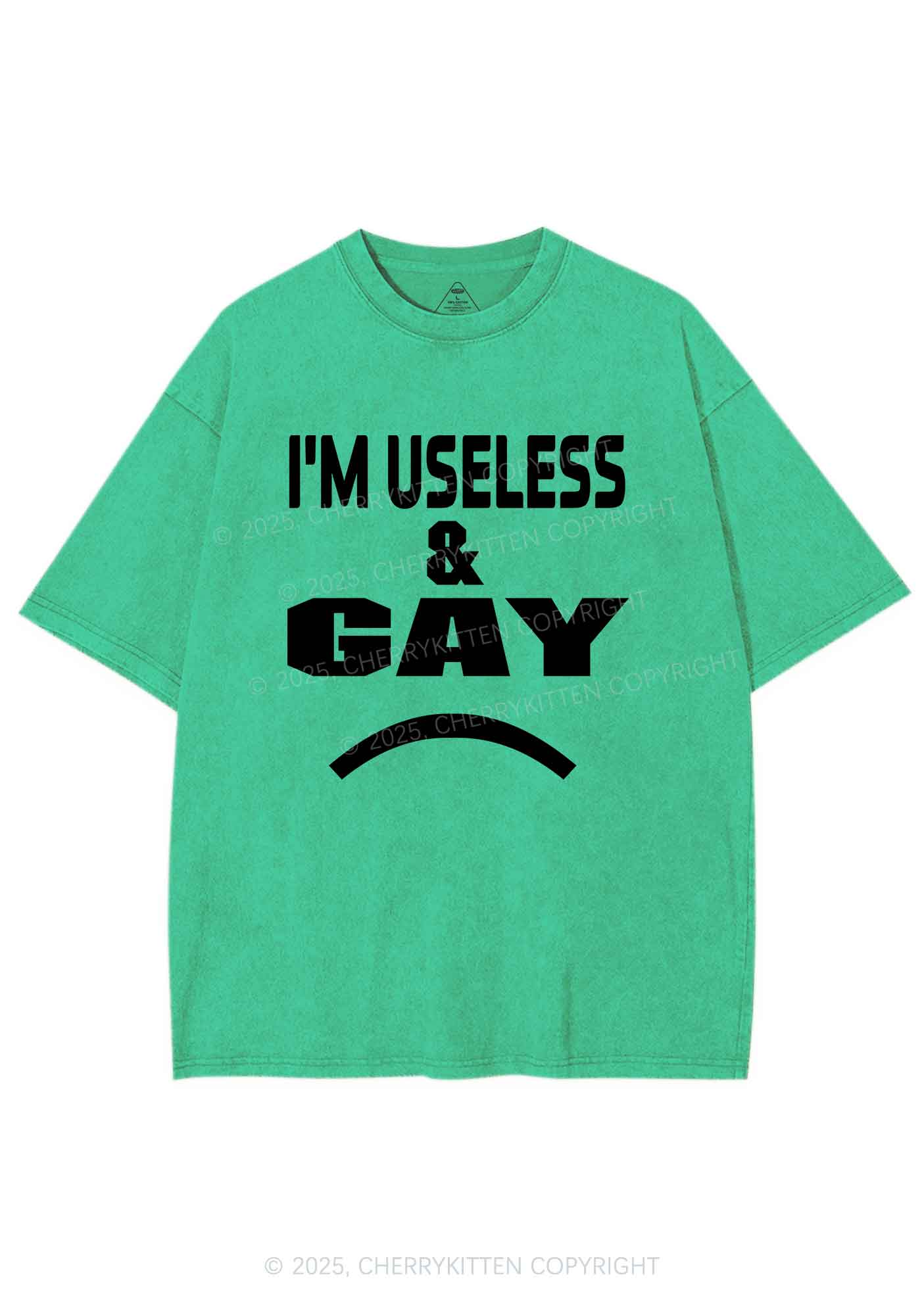 Useless Gay Pride Y2K Shirts Washed Tee Cherrykitten