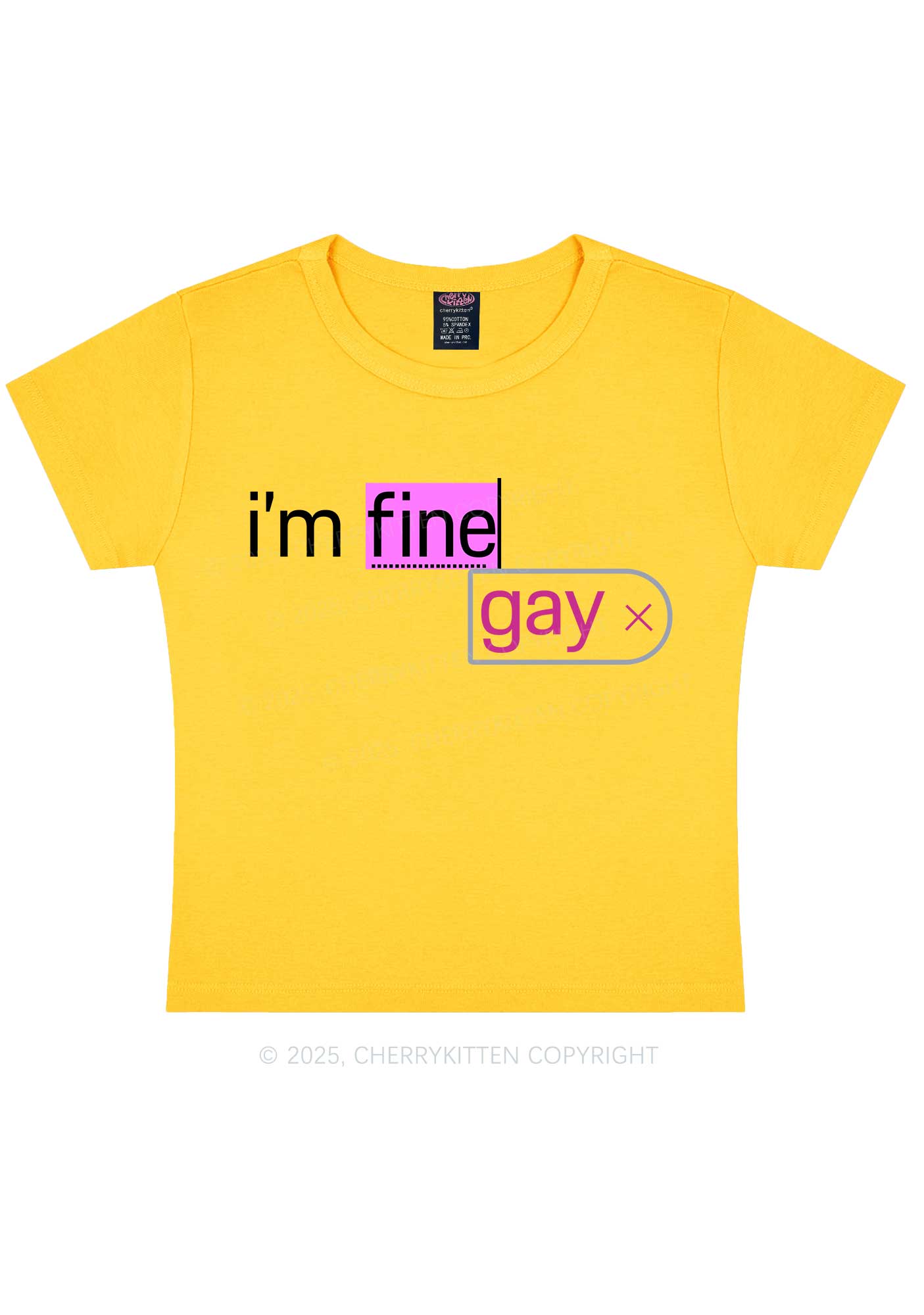 Im Fine Gay Pride Y2K Baby Tee Cherrykitten