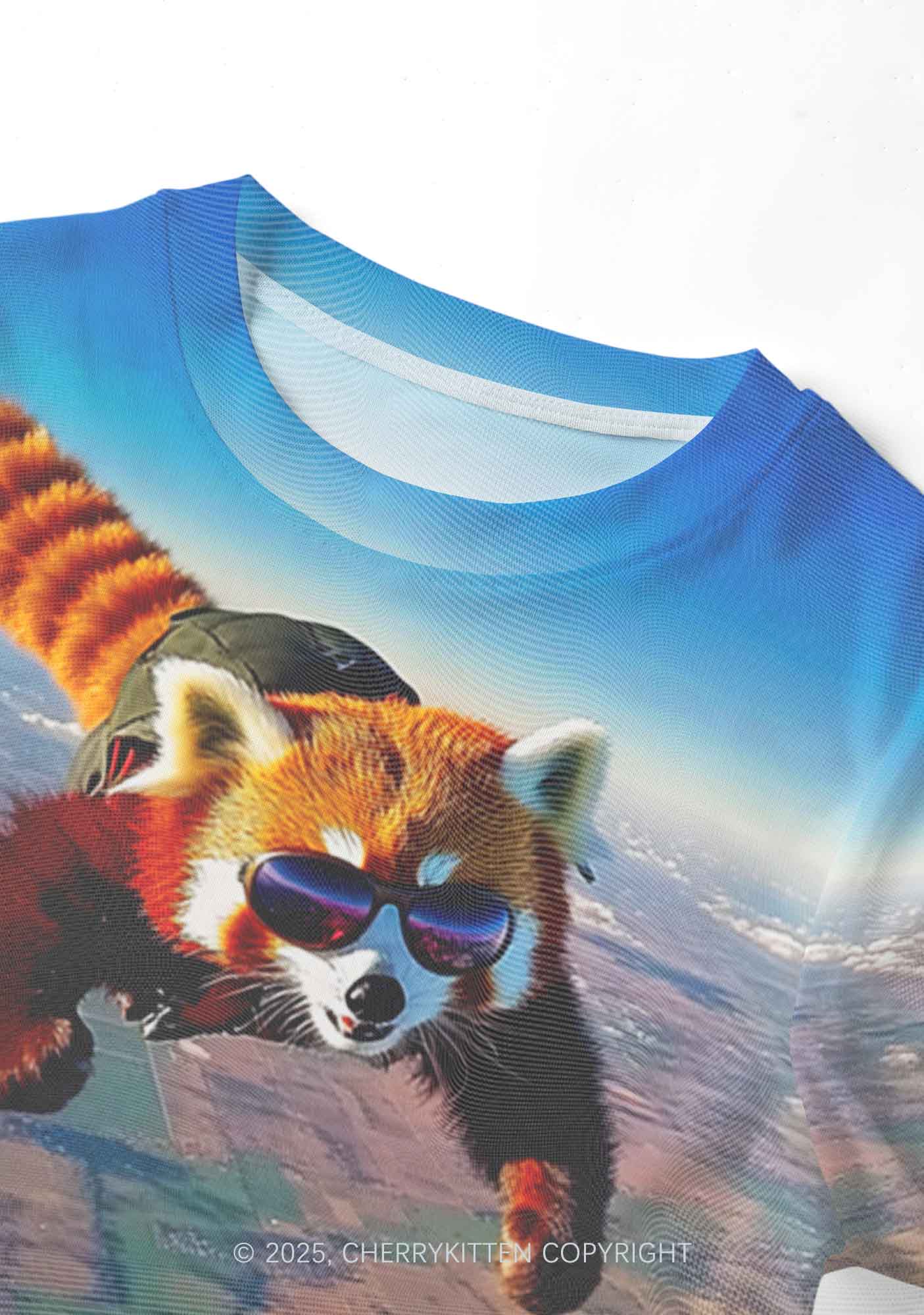 Flying Cool Raccoon Y2K Mesh Crop Top Cherrykitten