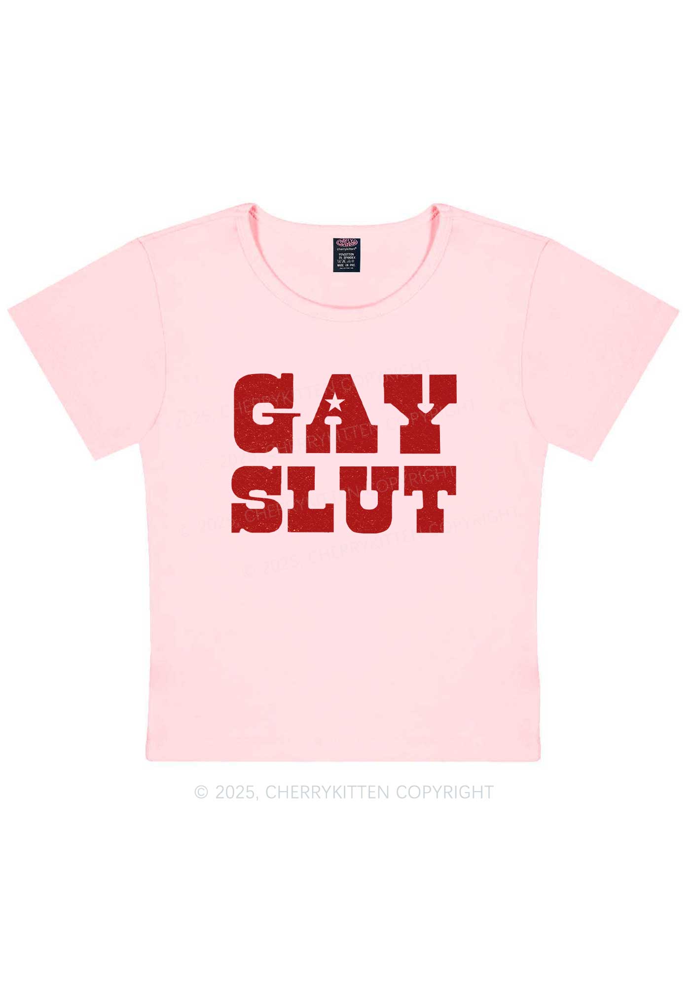 Gay Slxt Pride Y2K Baby Tee Cherrykitten