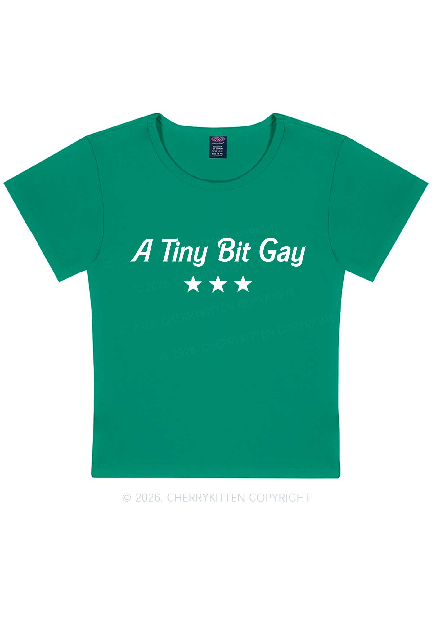 A Tiny Bit Gay Pride Y2K Baby Tee Cherrykitten