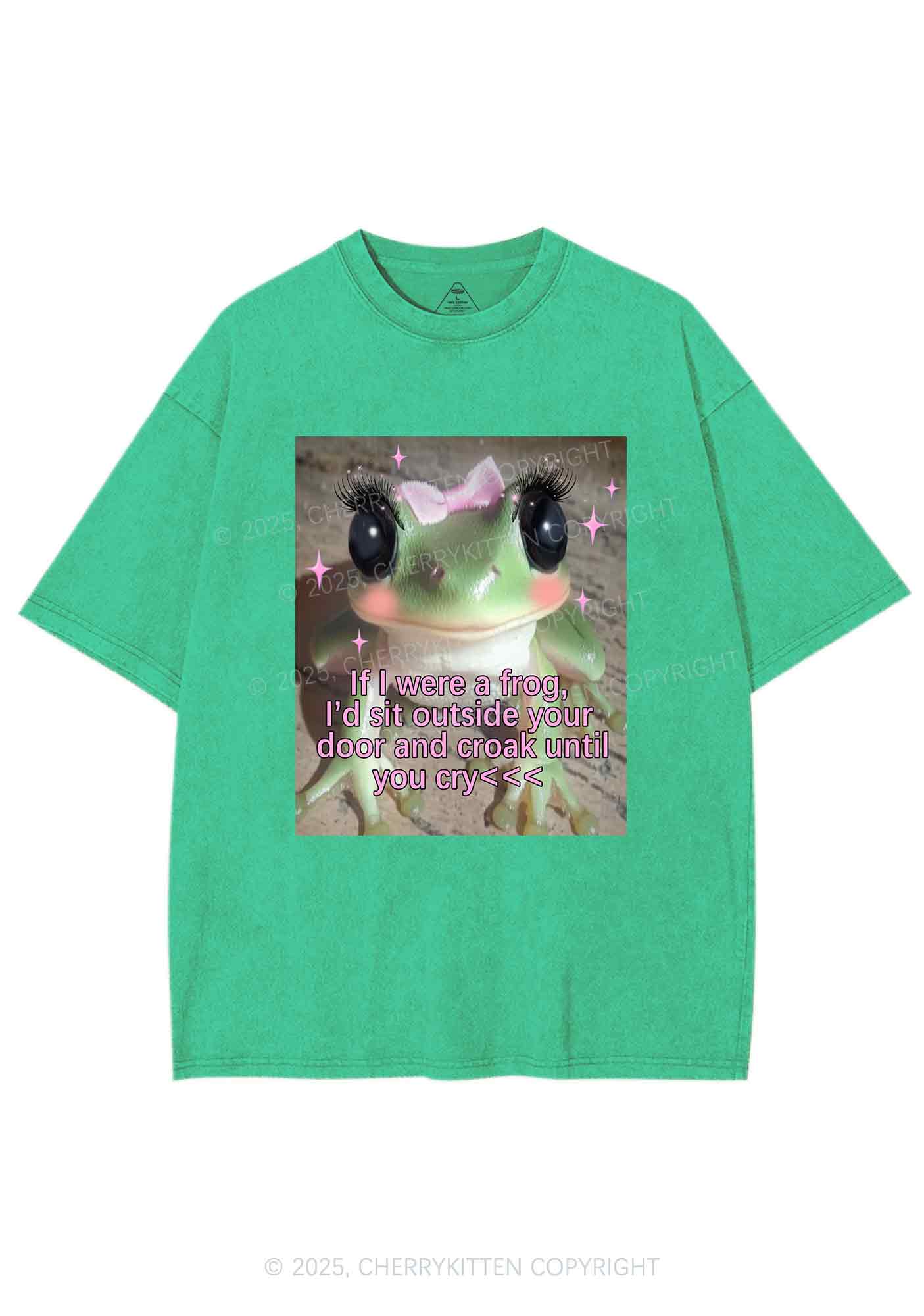 If I Were Frog Y2K Shirts Washed Tee Cherrykitten