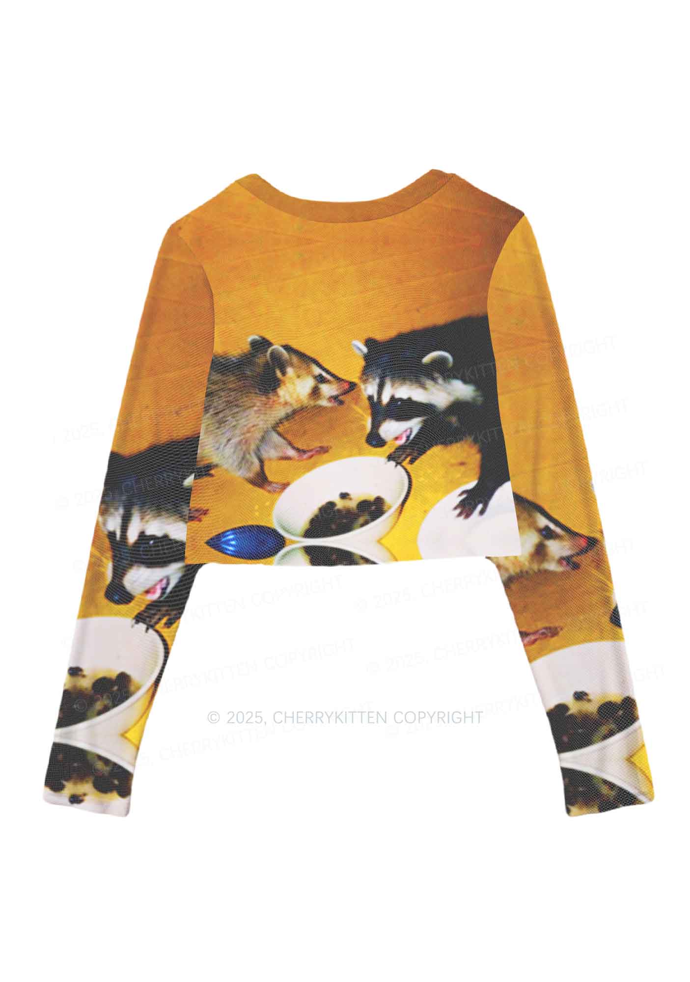 Raccoon Meal Y2K Mesh Long Sleeve Crop Top Cherrykitten