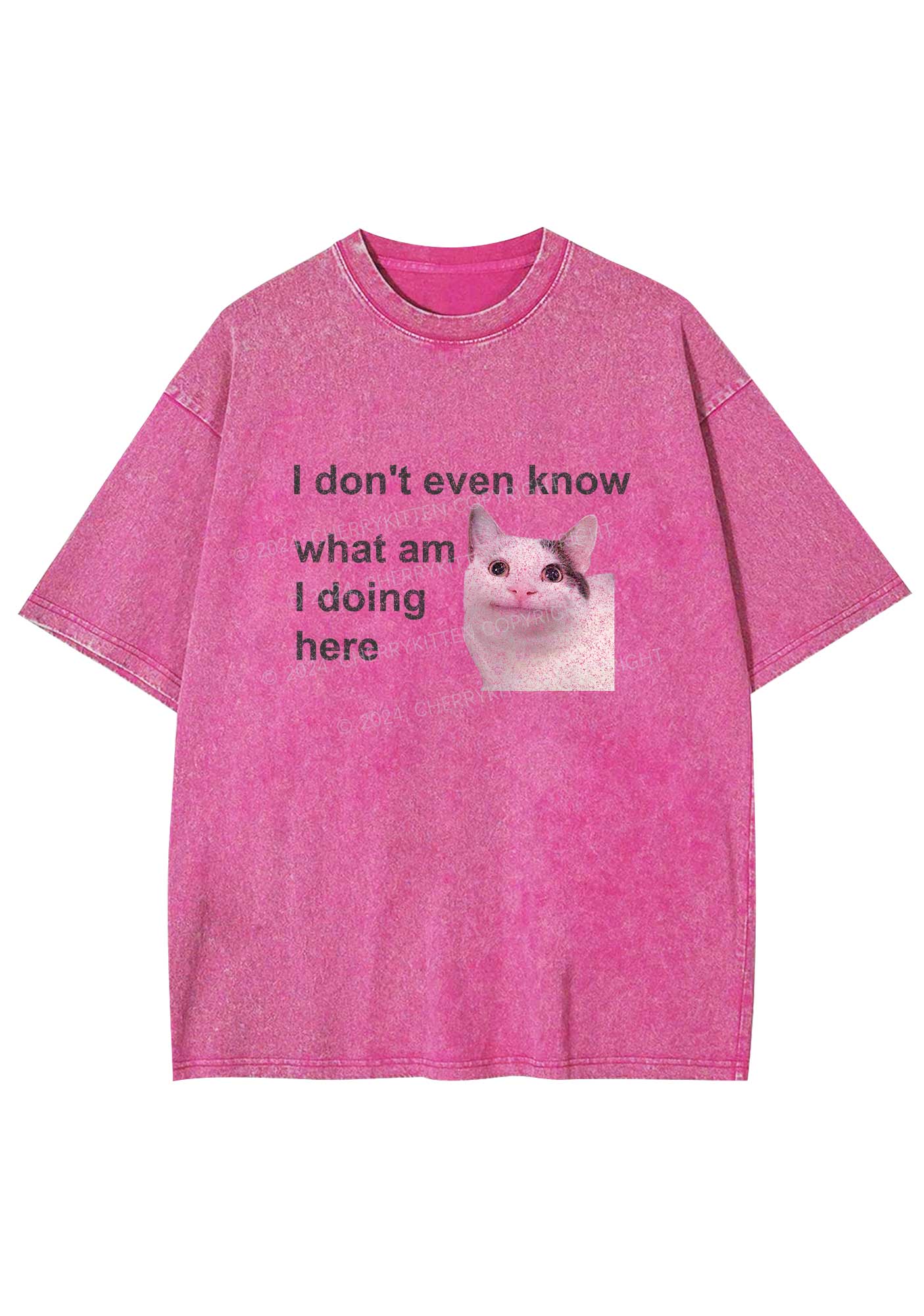 What Am I Doing Here Y2K Washed Tee Cherrykitten