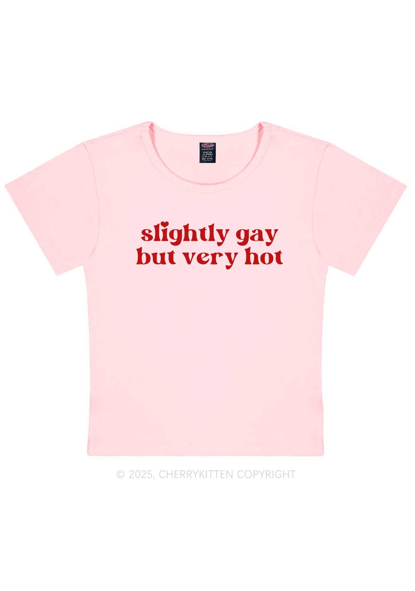 Slightly Gay But Very Hot Pride Y2K Baby Tee Cherrykitten