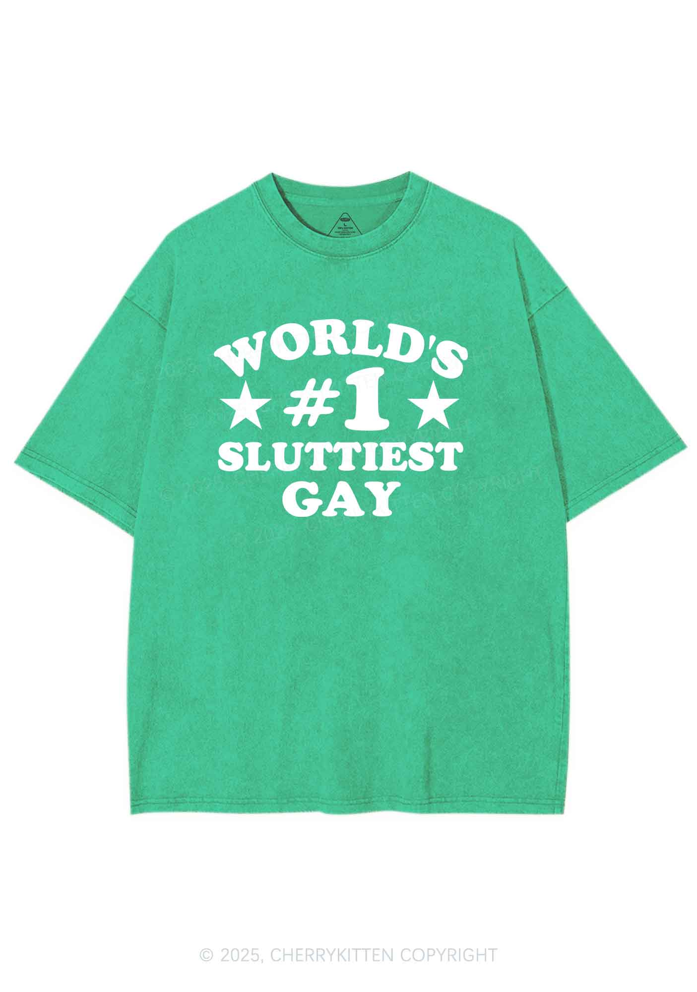 Worlds First Slxttiest Gay Pride Y2K Shirts Washed Tee Cherrykitten