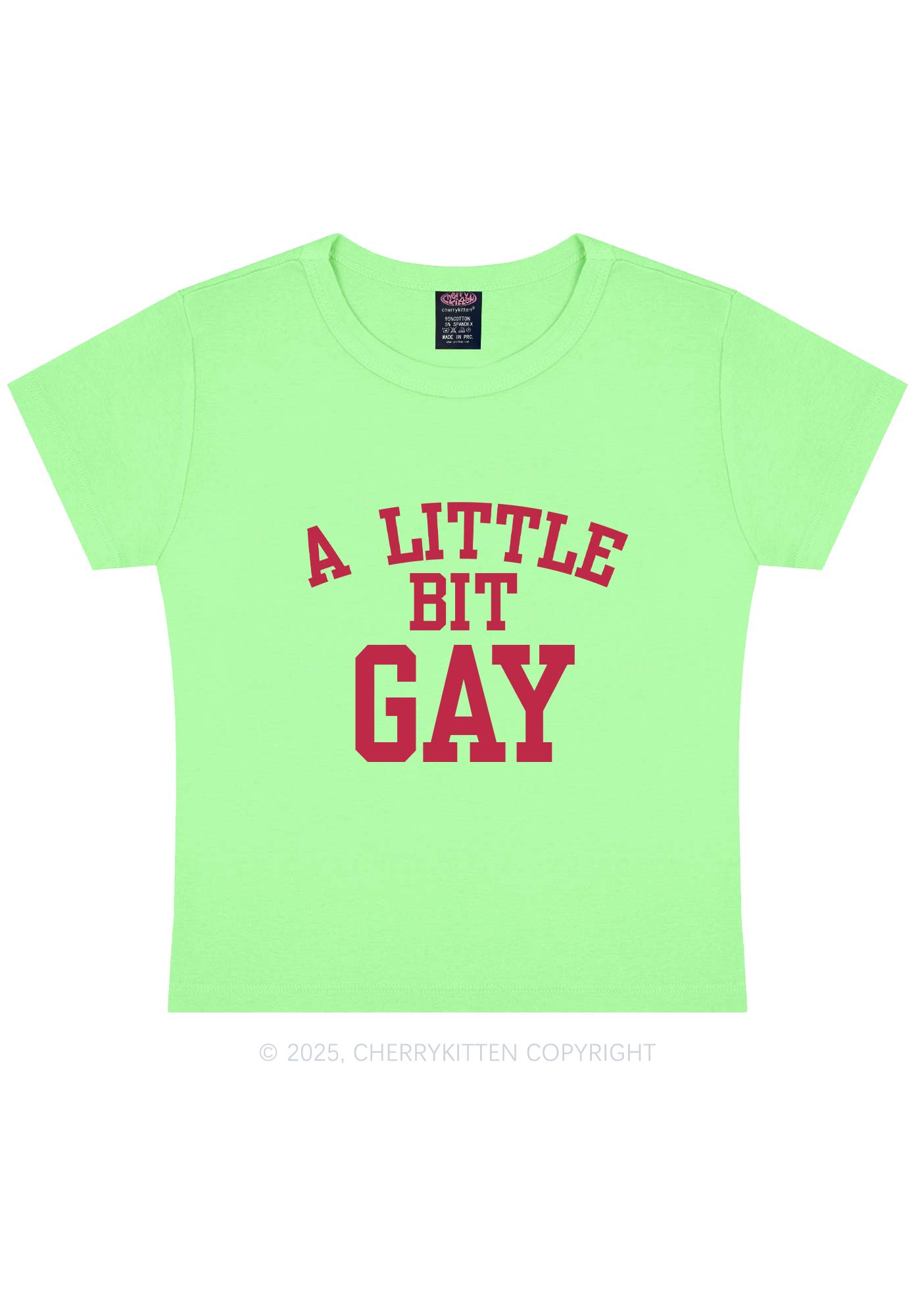 A Little Bit Gay Y2K Baby Tee Cherrykitten