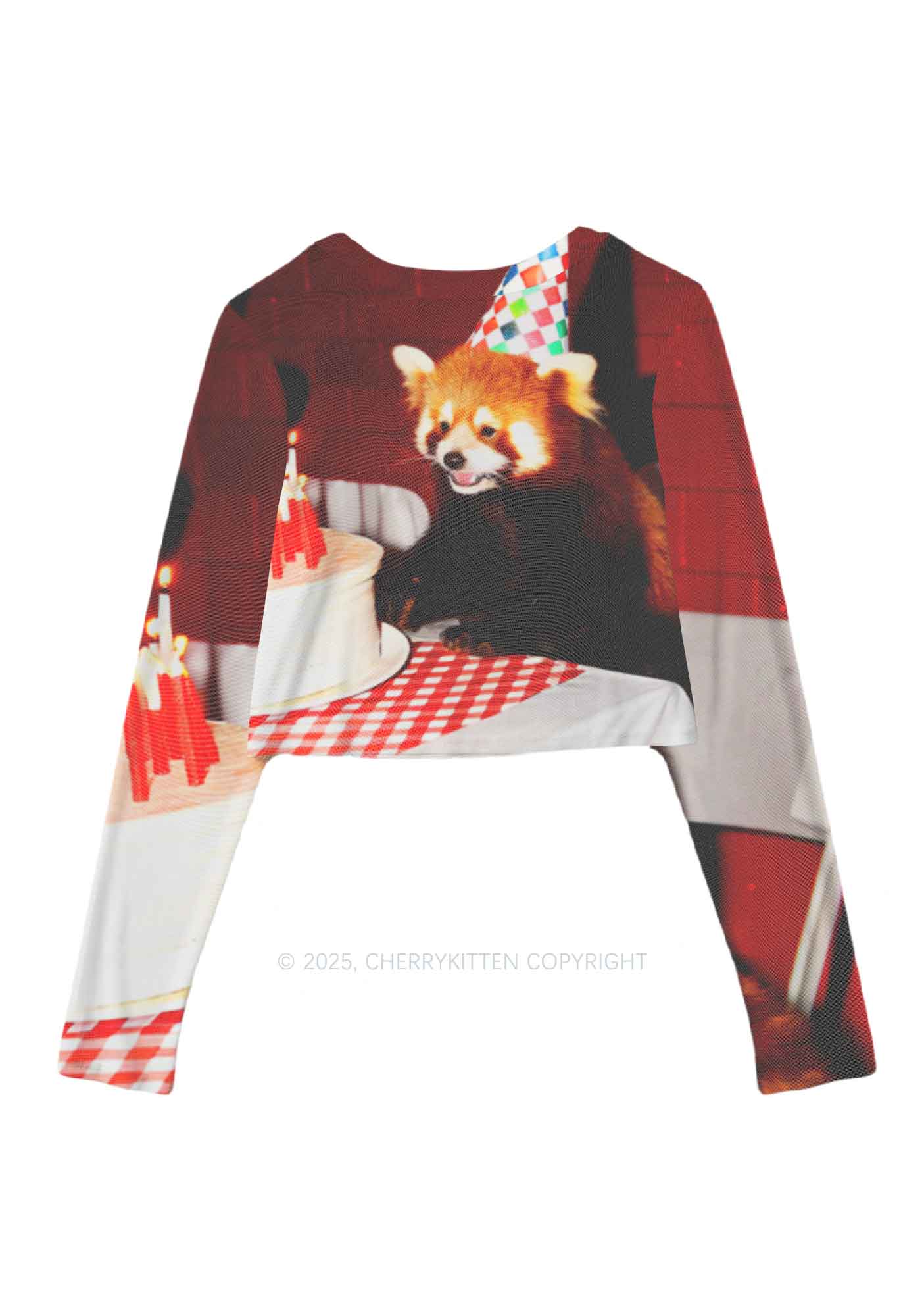 Birthday Cake Raccoon Y2K Mesh Long Sleeve Crop Top Cherrykitten
