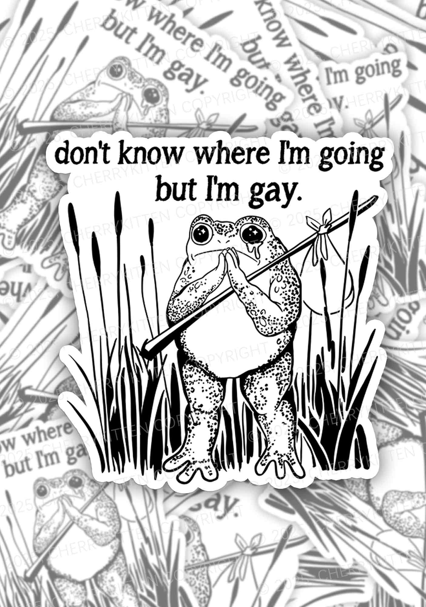 But I Am Gay Frog Pride 1Pc Y2K Sticker Cherrykitten
